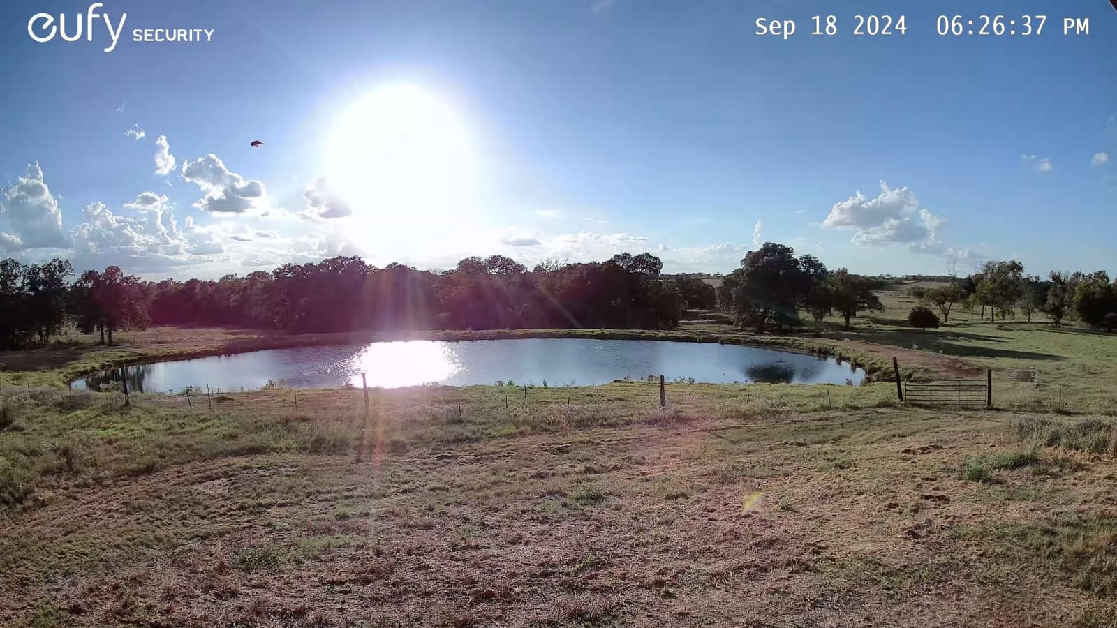 eufy Security eufyCam S330 (eufyCam 3), Add-On Camera, 4K Solar customer photo 2