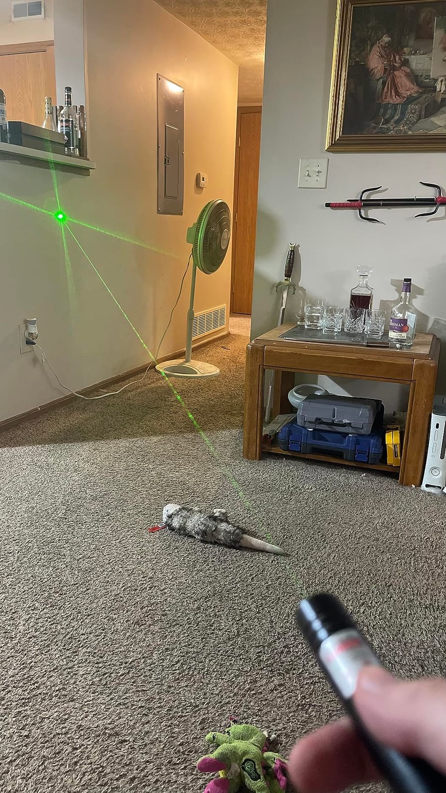 IVVTRYI Green Laser Pointer - Rechargeable customer photo 2