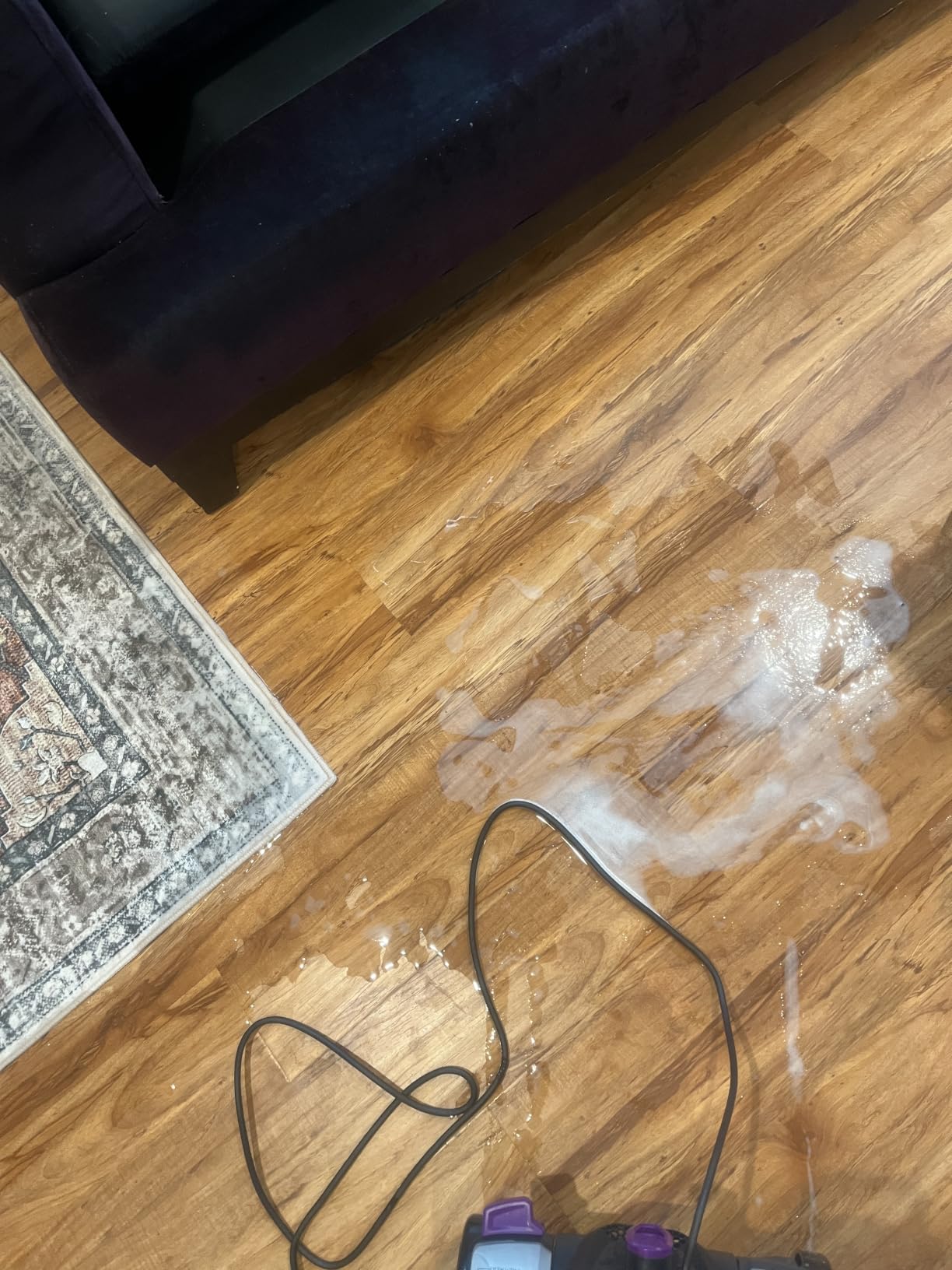 BISSELL ProHeat 2X Revolution Pet Pro Plus Carpet Cleaner, 3588F customer photo 1