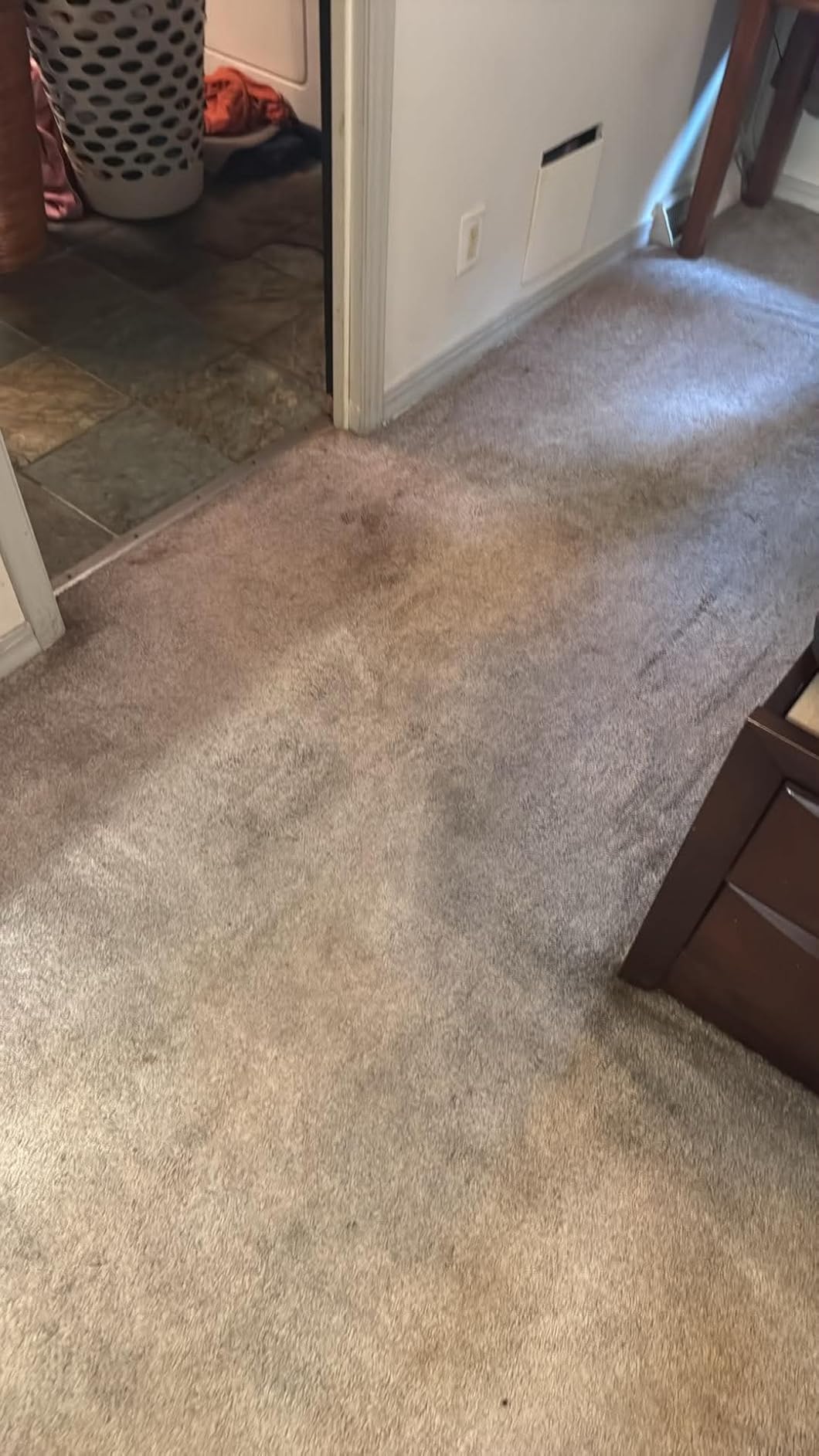 BISSELL ProHeat 2X Revolution Pet Pro Plus Carpet Cleaner, 3588F customer photo 2