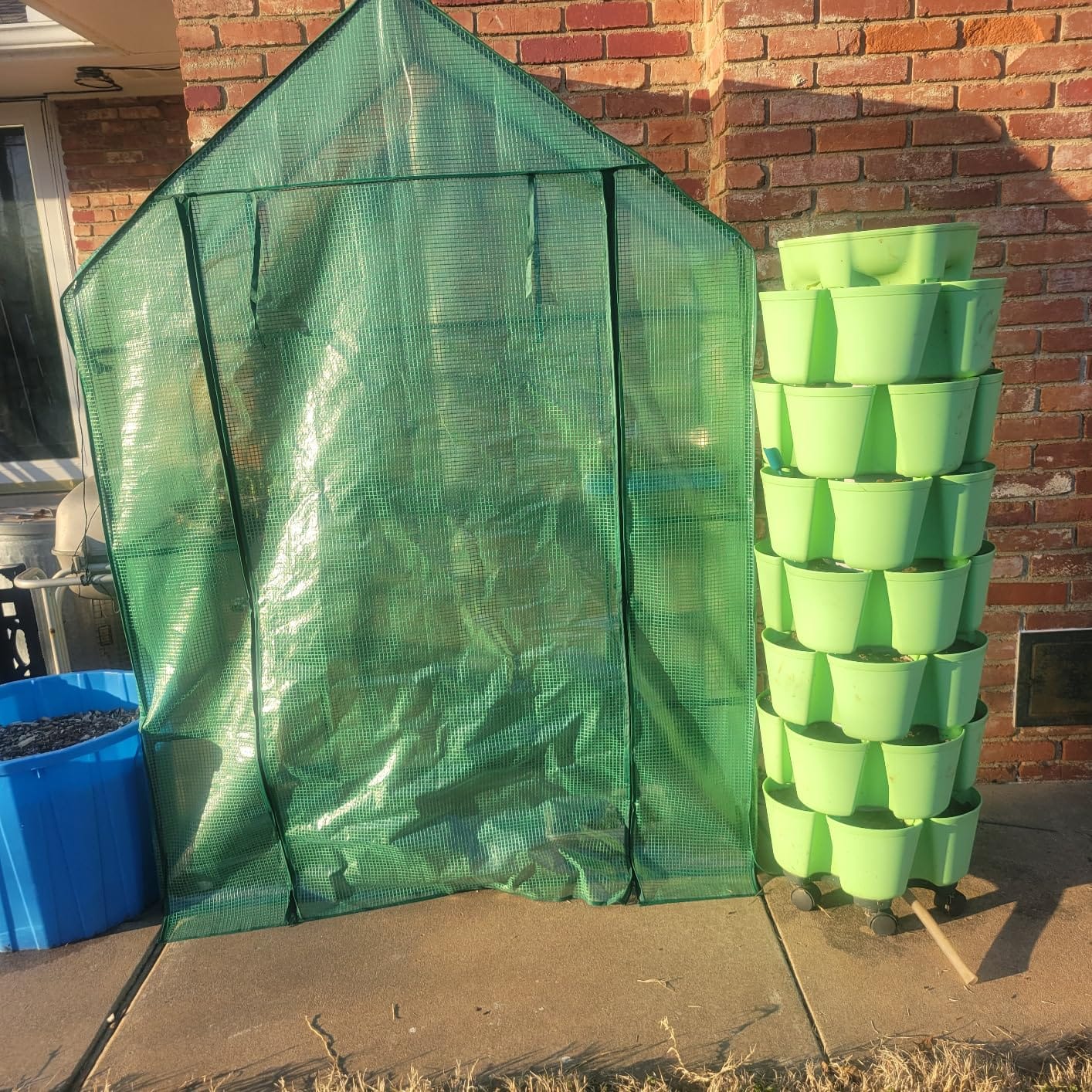 56x55x78 Walk-in Greenhouse for Outdoors, 3-Tier Plant House with 8 Shelves customer photo 2