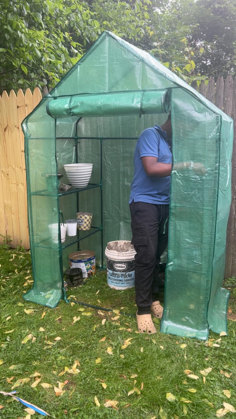 56x56x78 Large Walk-in Greenhouse for Outdoors, Plant House with Shelves customer photo 1