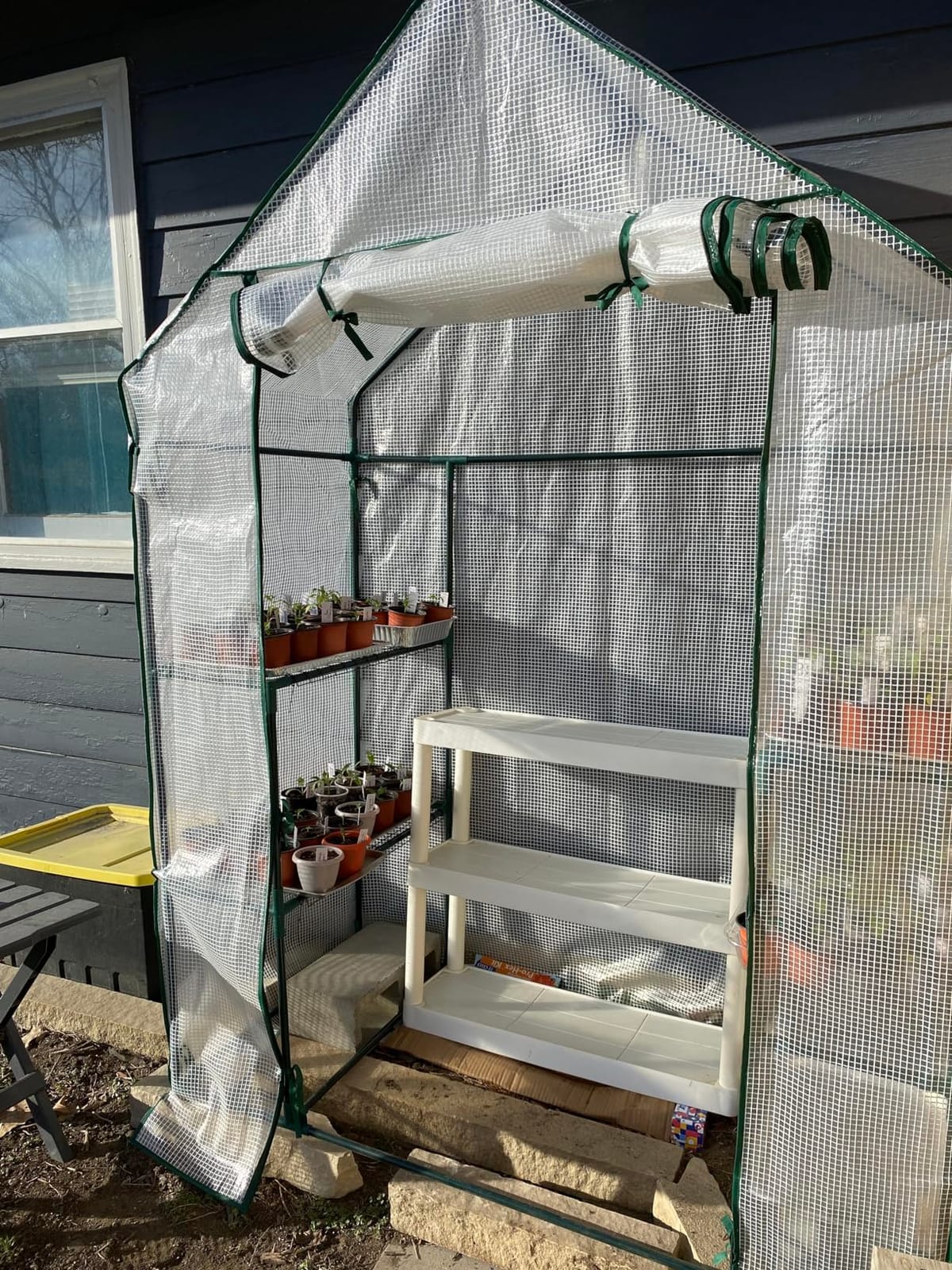 56x56x78 Large Walk-in Greenhouse for Outdoors, Plant House with Shelves customer photo 2