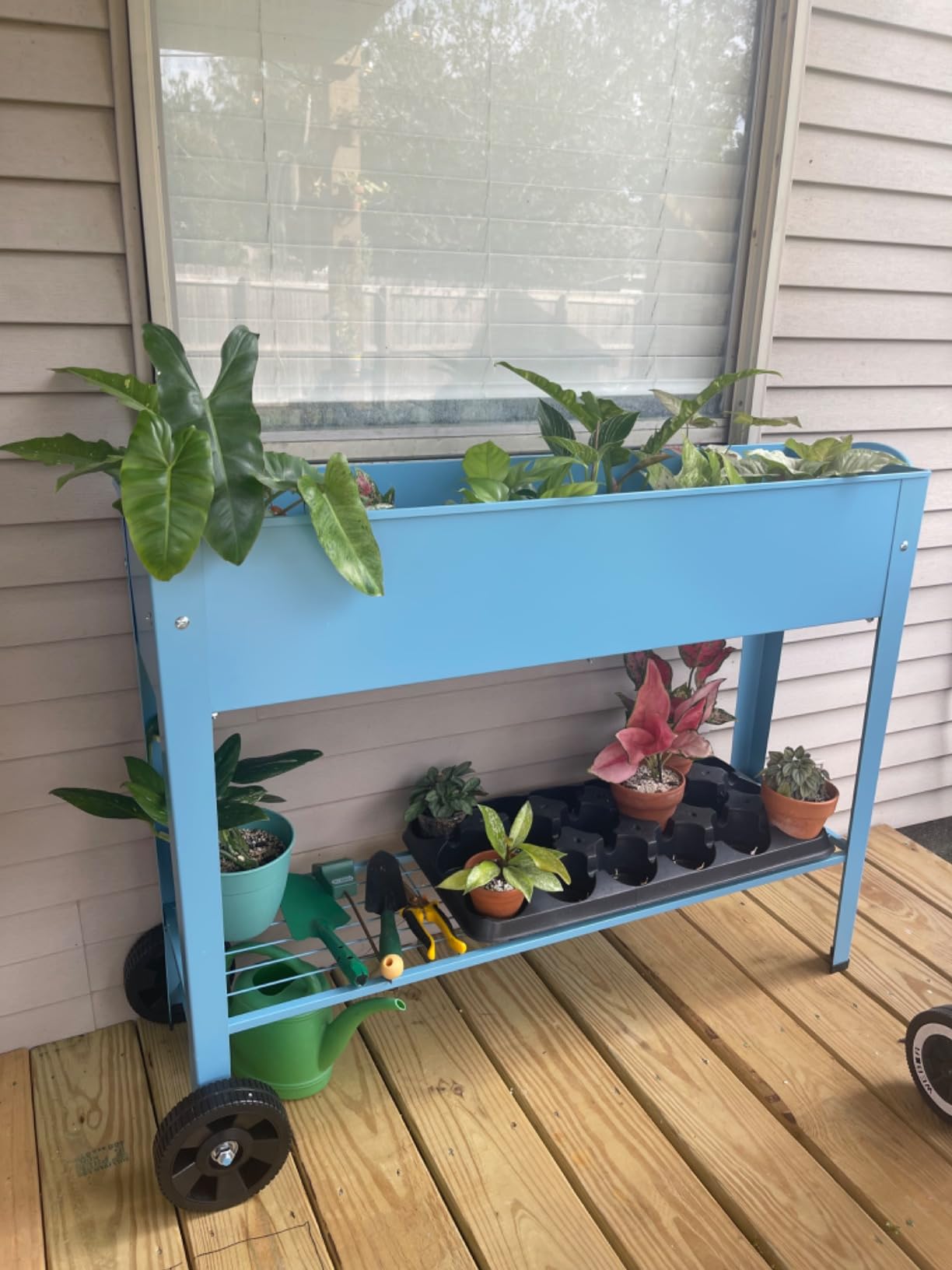 Raised Planter Box Beds with Wheels Legs, Elevated Garden Bed for Indoor Outdoor, Large Metal Mobile Planter Box with Bottom Shelf for Storing Tools for Vegetables Flower Herb Patio(Blue) customer photo 1
