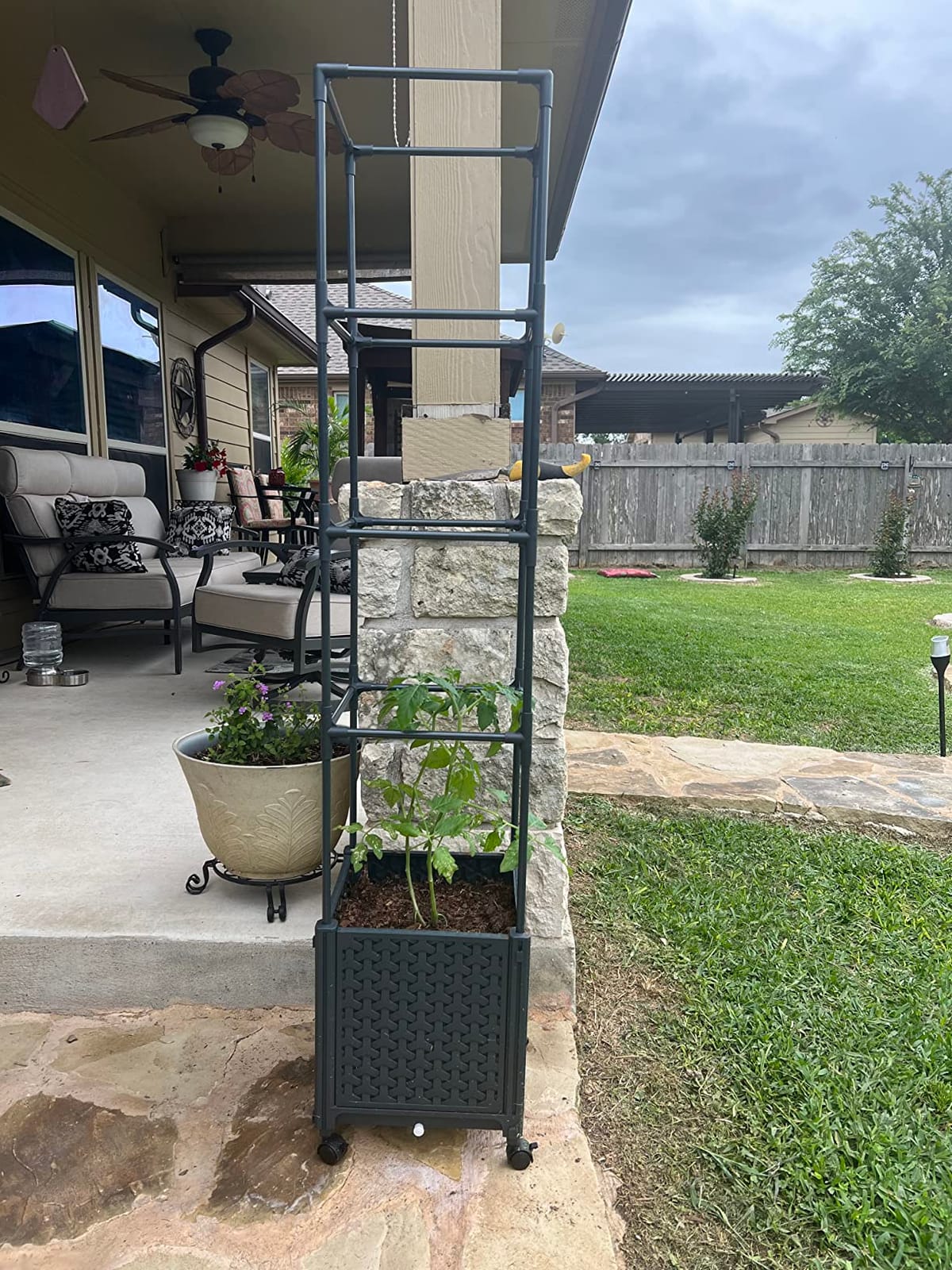 LINEX Raised Garden Bed Planter Box with Trellis, 67.6” Tomato Planters for Climbing Plants Vegetable Vine Flowers Outdoor Patio, Tomatoes Cage w/Self-Watering & Wheels customer photo 1