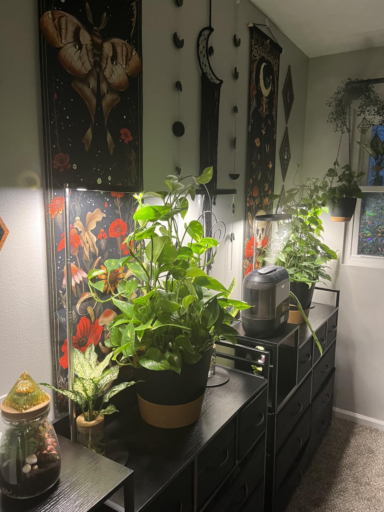 YNNICO Indoor Self Watering Planters with Drainage Holes and Saucers, 8, 7, 6.5, 6, 5.5, 5 Inches, White, 6 Pots customer photo 2