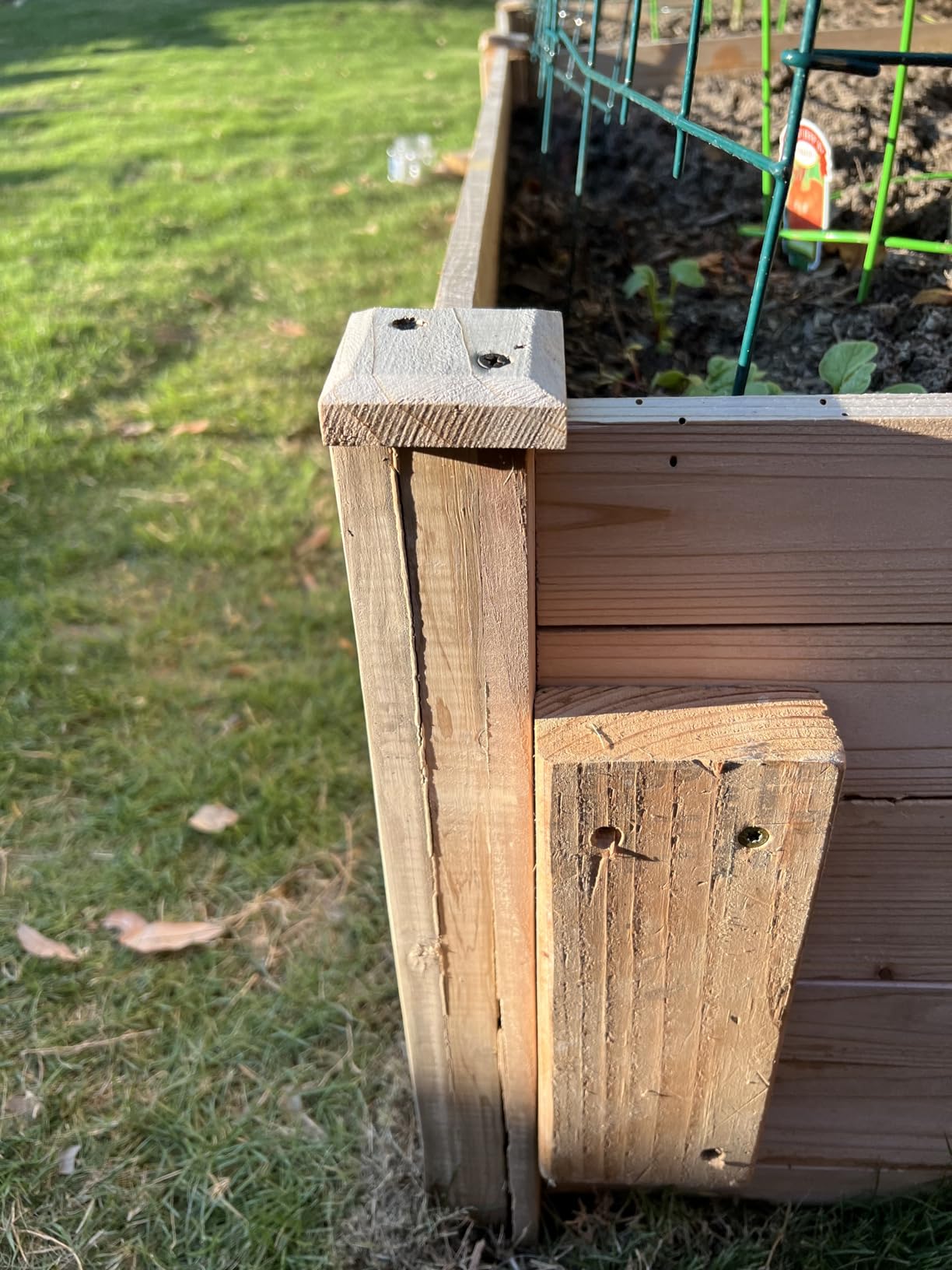 AMERLIFE 8x4 Ft Wood Raised Garden Bed, Durable 15 Inch Depth Planter Box for Vegetables, Herbs, and Flowers, Ideal for Outdoor Gardening with Open Base customer photo 1