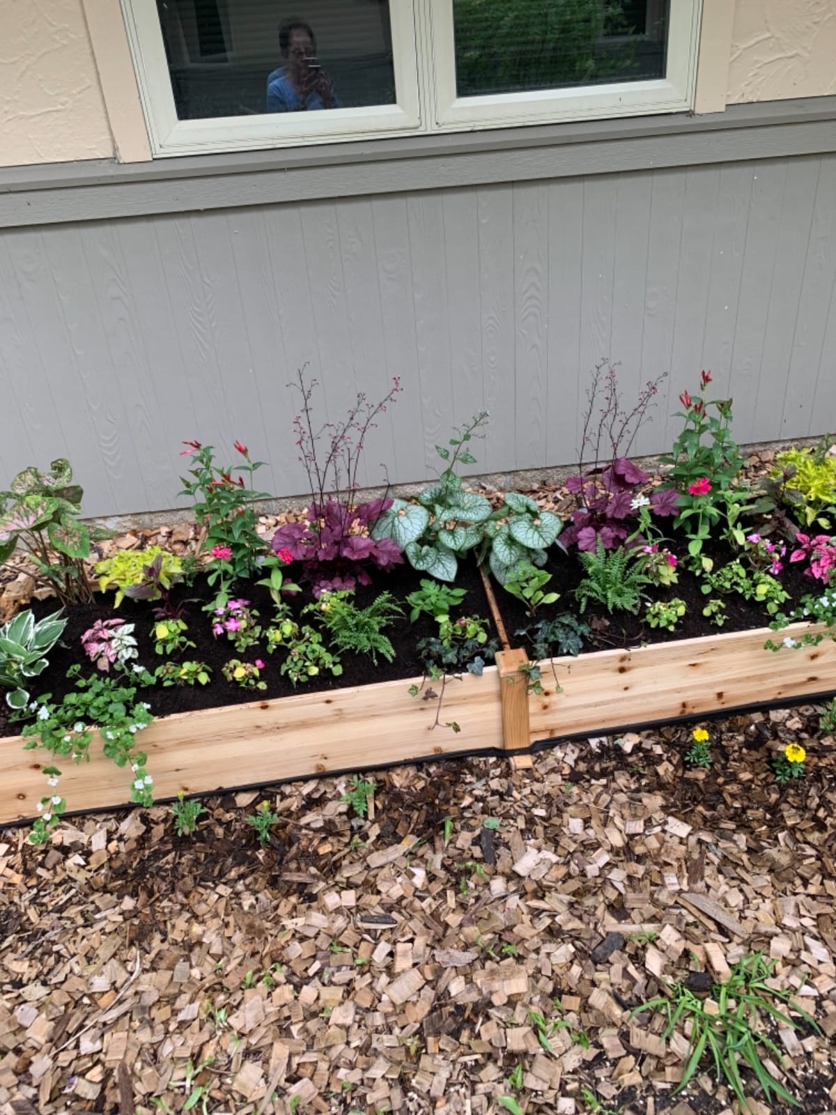 AMERLIFE 8x4 Ft Wood Raised Garden Bed, Durable 15 Inch Depth Planter Box for Vegetables, Herbs, and Flowers, Ideal for Outdoor Gardening with Open Base customer photo 2