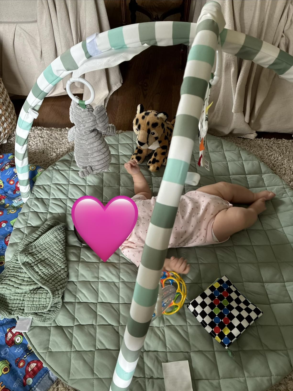 Blissful Diary Baby Play Gym Mat, Play Mat Activity Mat with 6 Detachable Toys for Stage-Based Sensory & Motor Skill Development, Easy to Install & Clean, Baby Essentials Gift, Sage Green customer photo 1