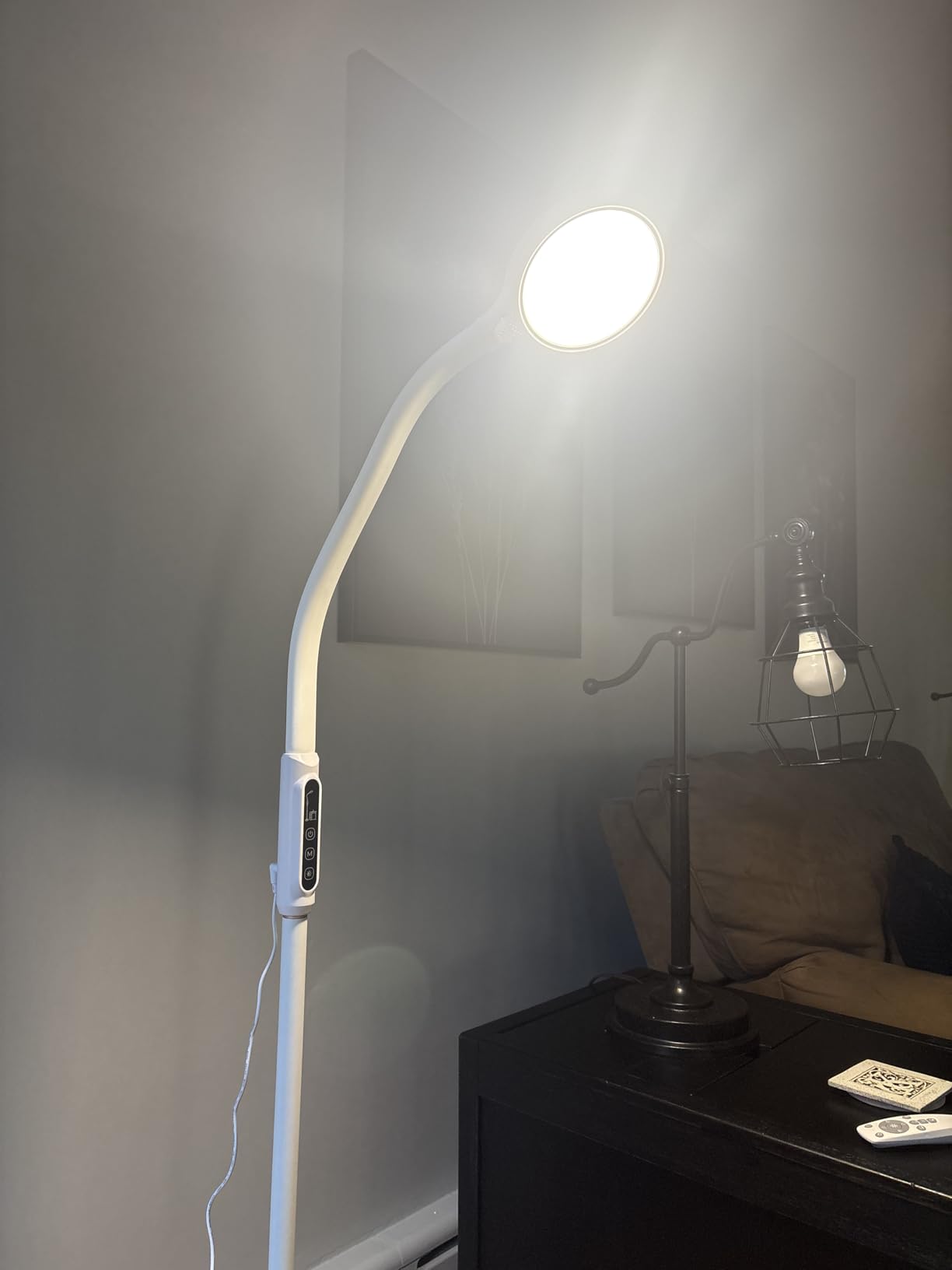 Light Therapy Lamp 11000 Lux, LED UV-Free Sunlight Lamp,Full Spectrum Happy Therapy Lamp with 10 Adjustable Brightness Levels, 2 in 1 Retractable Floor Light Therapy Lamp customer photo 1