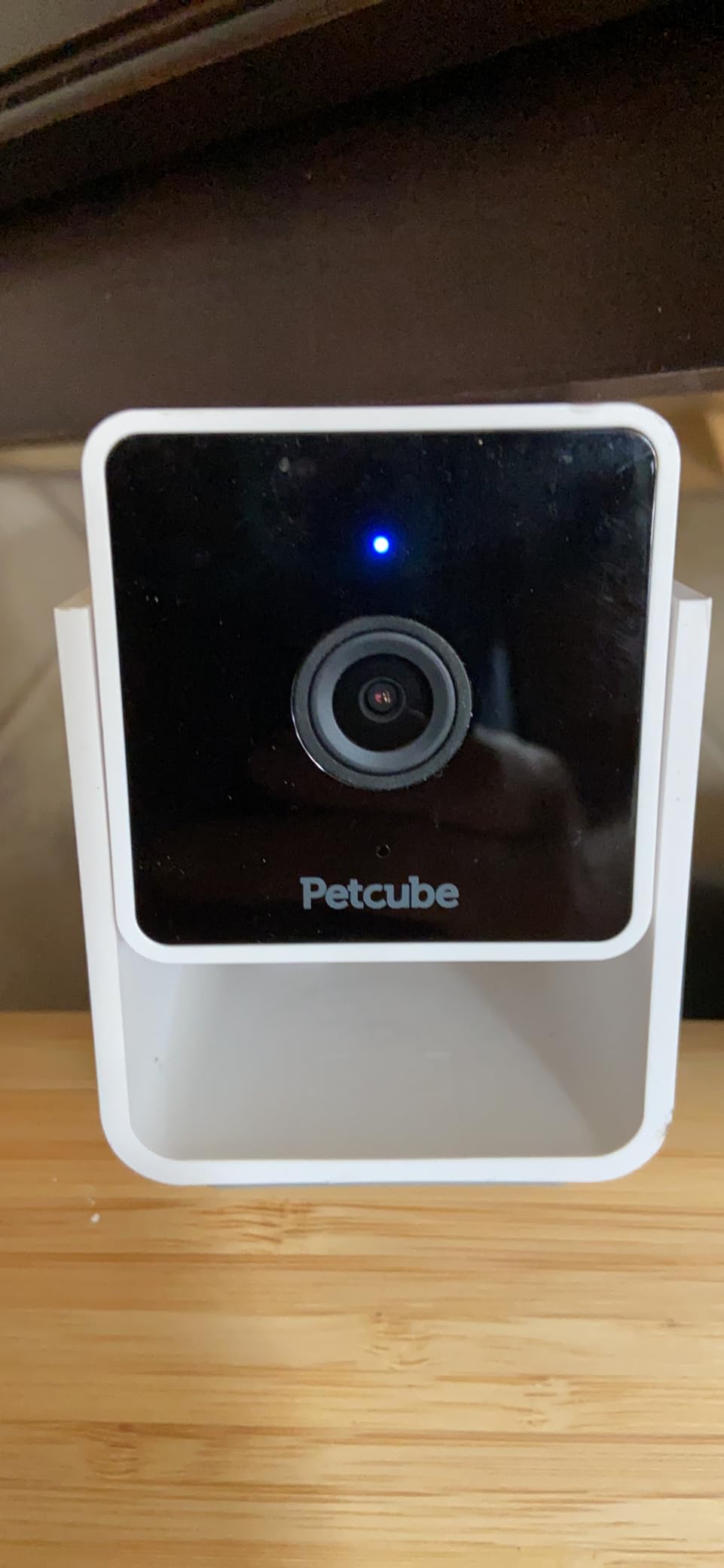 Petcube GPS Tracker for Dogs – Real-Time GPS Tracking & Escape Alerts customer photo 1