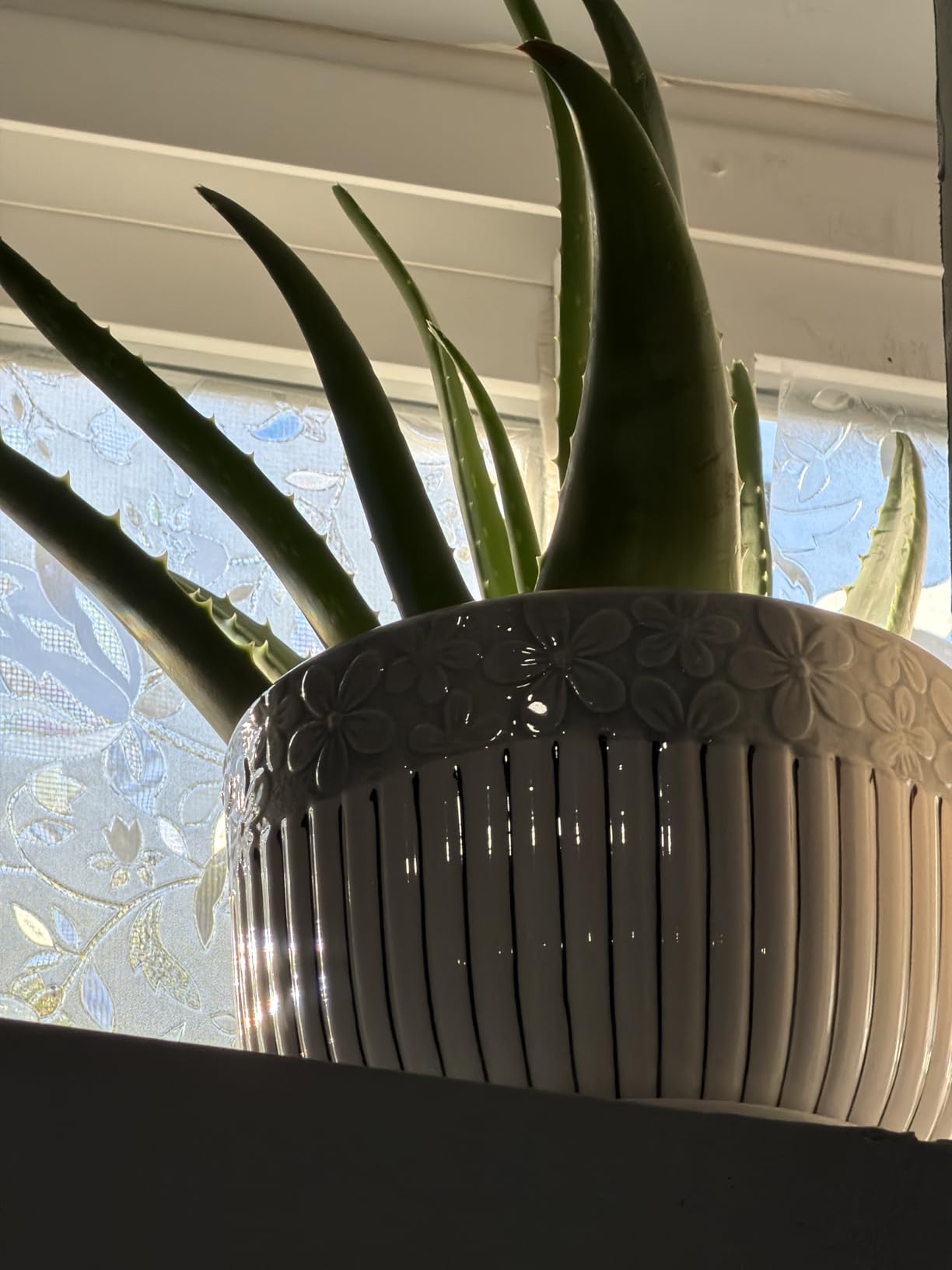Hlukana Ceramic Plant Pots Set of 3, 6.75/5.6/4.2 inch Planters with Drainage Holes and Saucer, Flower Pot Outdoor Indoor, Modern Decorative Planters for House Plants Garden Planters Succulent Pots customer photo 2