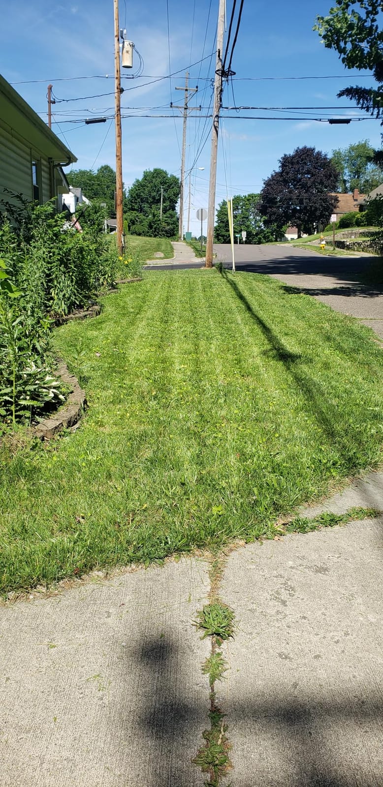 Wild Badger Power 40V 18-In Brushless Cordless Electric Lawn Mower customer photo 2
