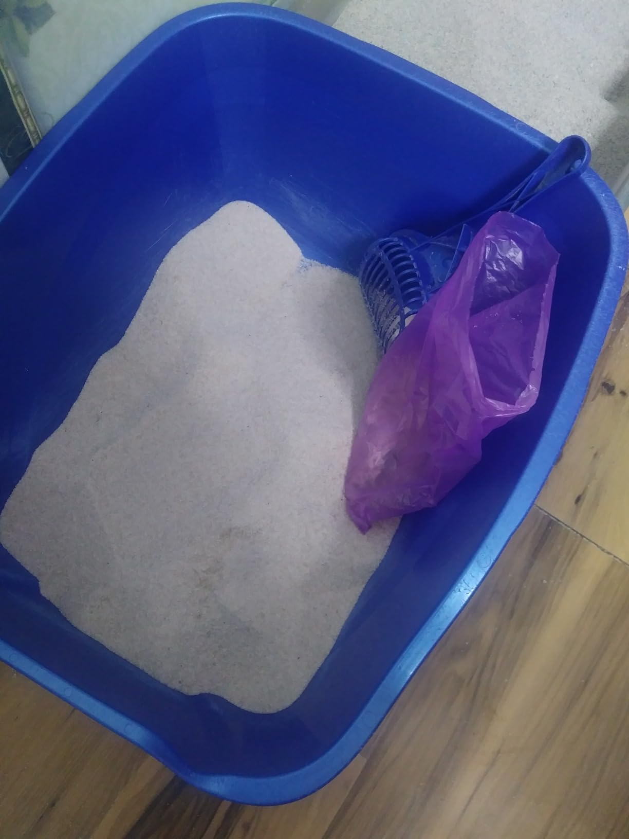 CLASSIC SAND & PLAY Swimming Pool Filter Sand for Above & Inground Pools, 40 lbs, Supports Residential and Commercial Filtration Systems, Premium Efficient Silica, No Clogging or Clumping, #20 Grade customer photo 1