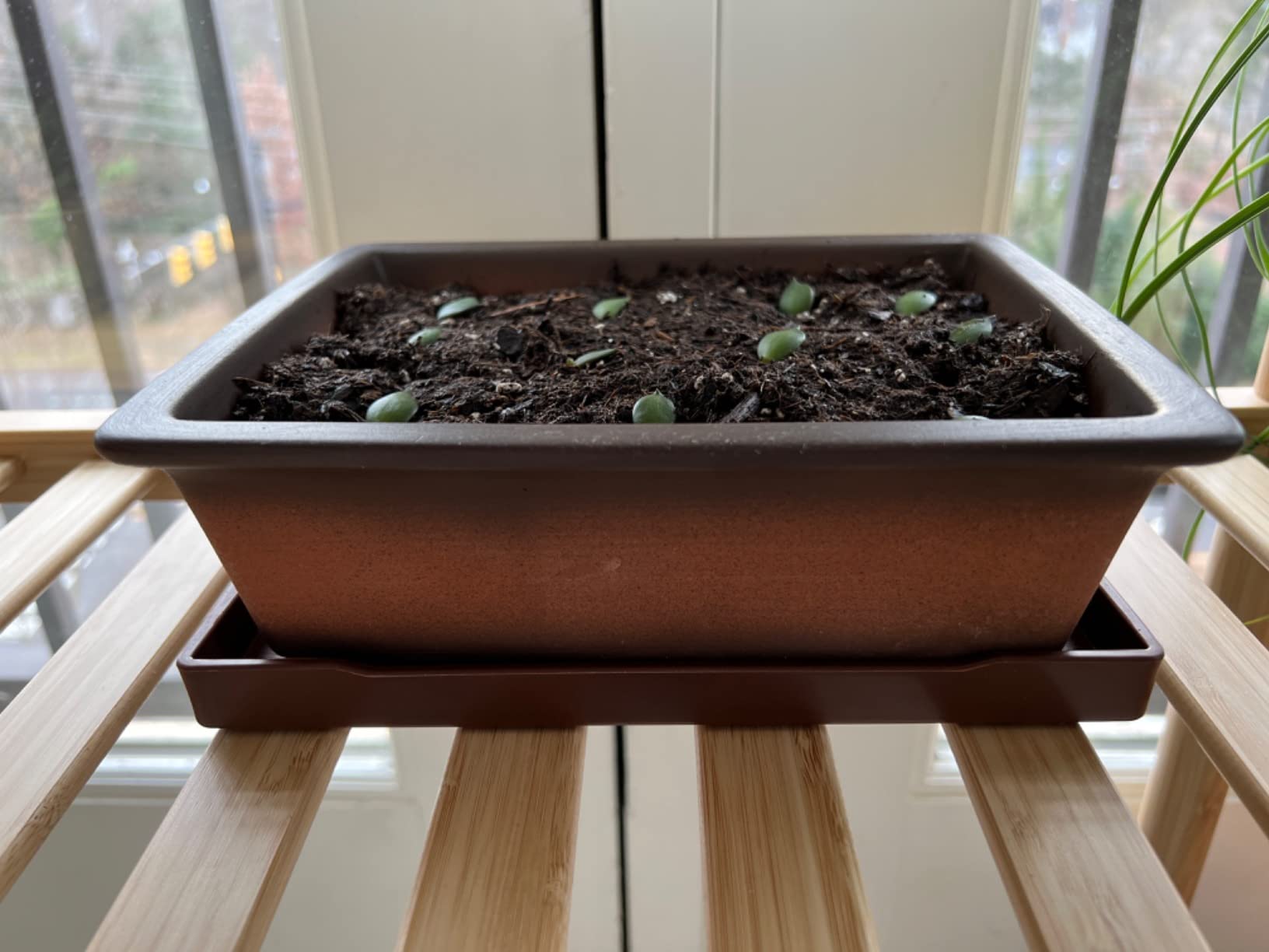 MUZHI Decorative Ceramic Bonsai Planter Pot 8.5 Inch with Tray, Breathable Unglazed Rectangle Terracotta Clay Pot for Tree Succulent Cactus Indoor Outdoor Red Brown (Round Lotus 7.5