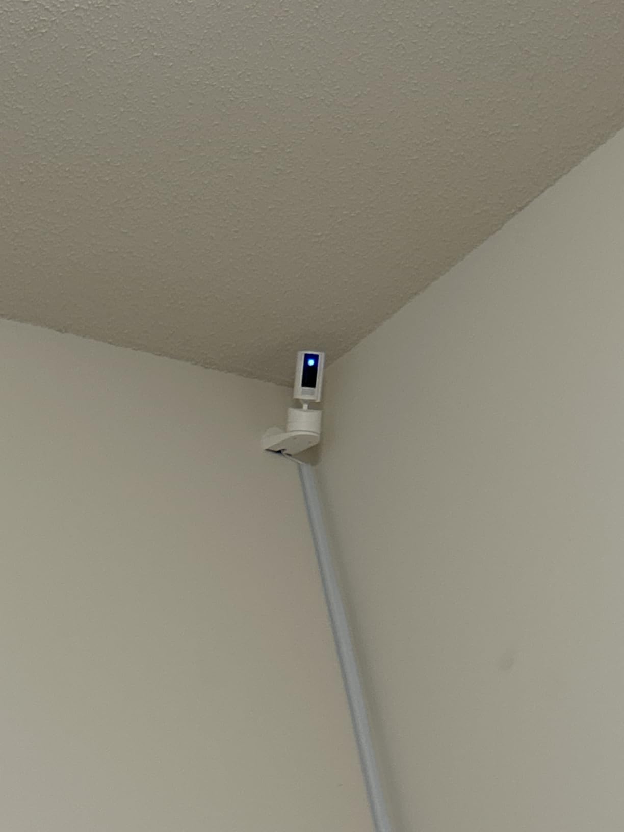 Ring Pan-Tilt Indoor Cam (newest model) - See all around your home or business with 360° pan coverage, HD video, plus Two-Way Talk (2024 release), White customer photo 2