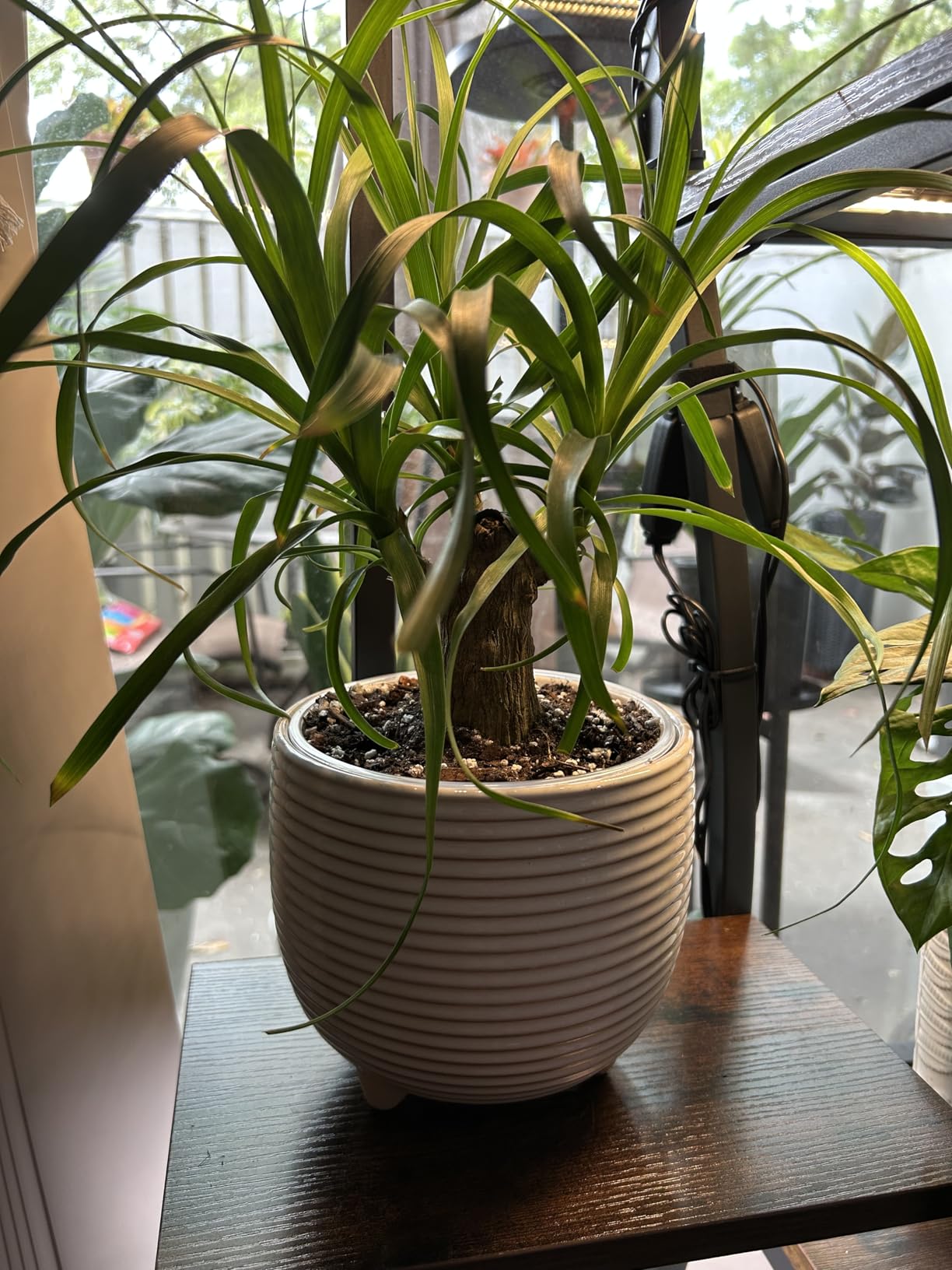 LE TAUCI Ceramic Plant Pots, 5.1 + 6.4 Inch Footed Pots for Plants, Modern Flower Pots for Home and Office, Indoor Planters with Drainage, Reactive Glaze White customer photo 1