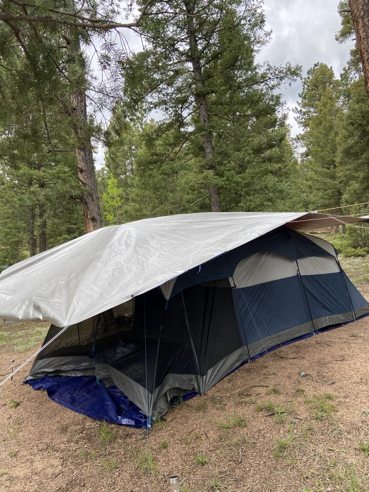 PORTAL 6/8/10 Person Family Camping Tent with Screen Room customer photo 1