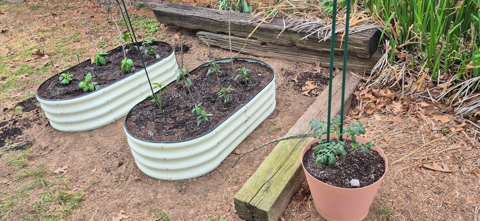 SnugNiture Galvanized Raised Garden Bed, 4x2x1ft Oval Metal Planter Box for Planting Outdoor Plants Vegetables customer photo 2