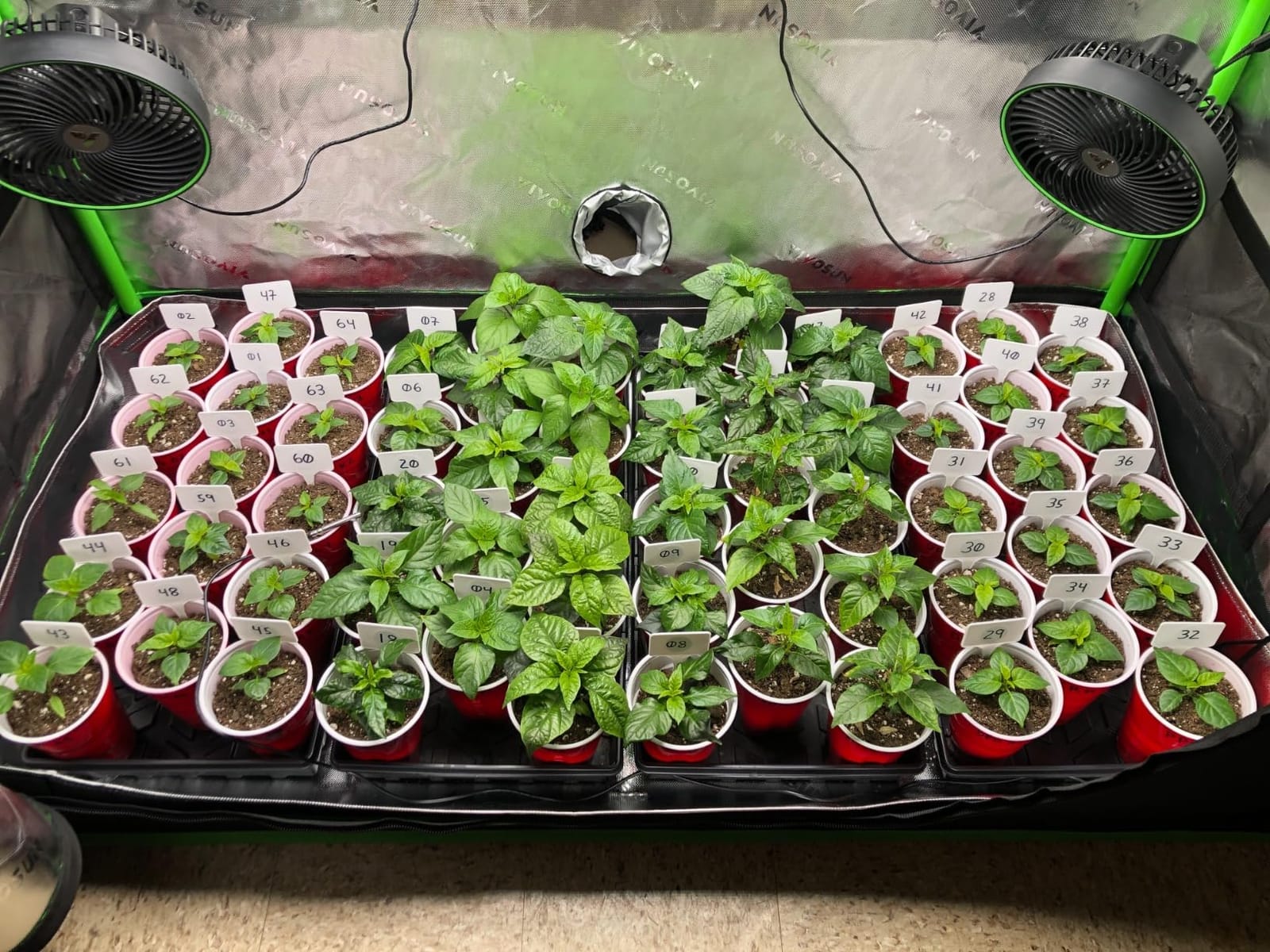 VIVOSUN 2x2 Smart PRO Grow Tent Kit, 1-Plant WiFi-Integrated Grow System customer photo 2