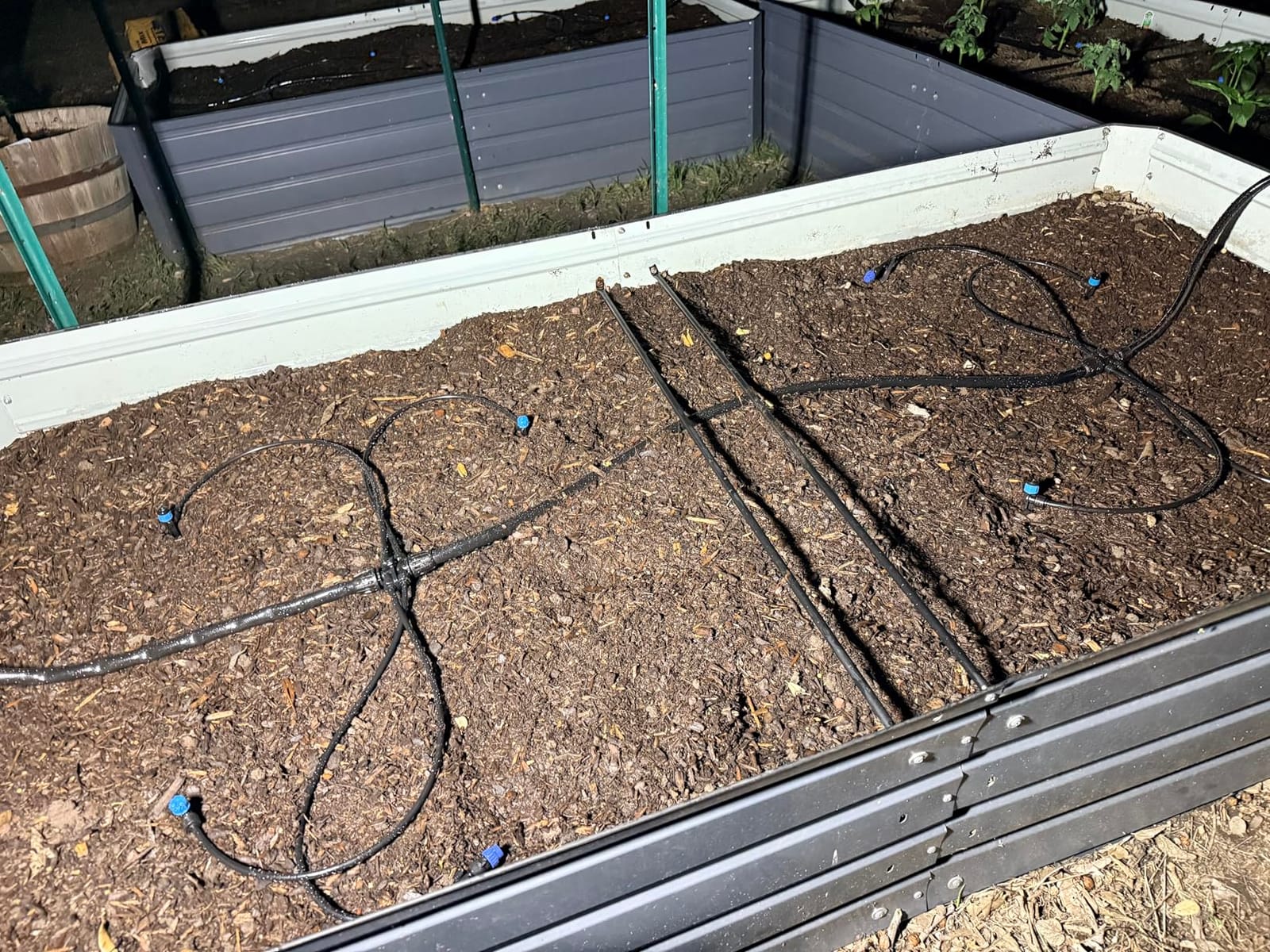 MIXC Drip Irrigation System,Quick Connector Garden Watering System Automatic Sprinkler System Kit for Lawn Raised Bed Greenhouse Plant Watering System (16FT Main Tube+ 79FT 1/4'' Tube) customer photo 2