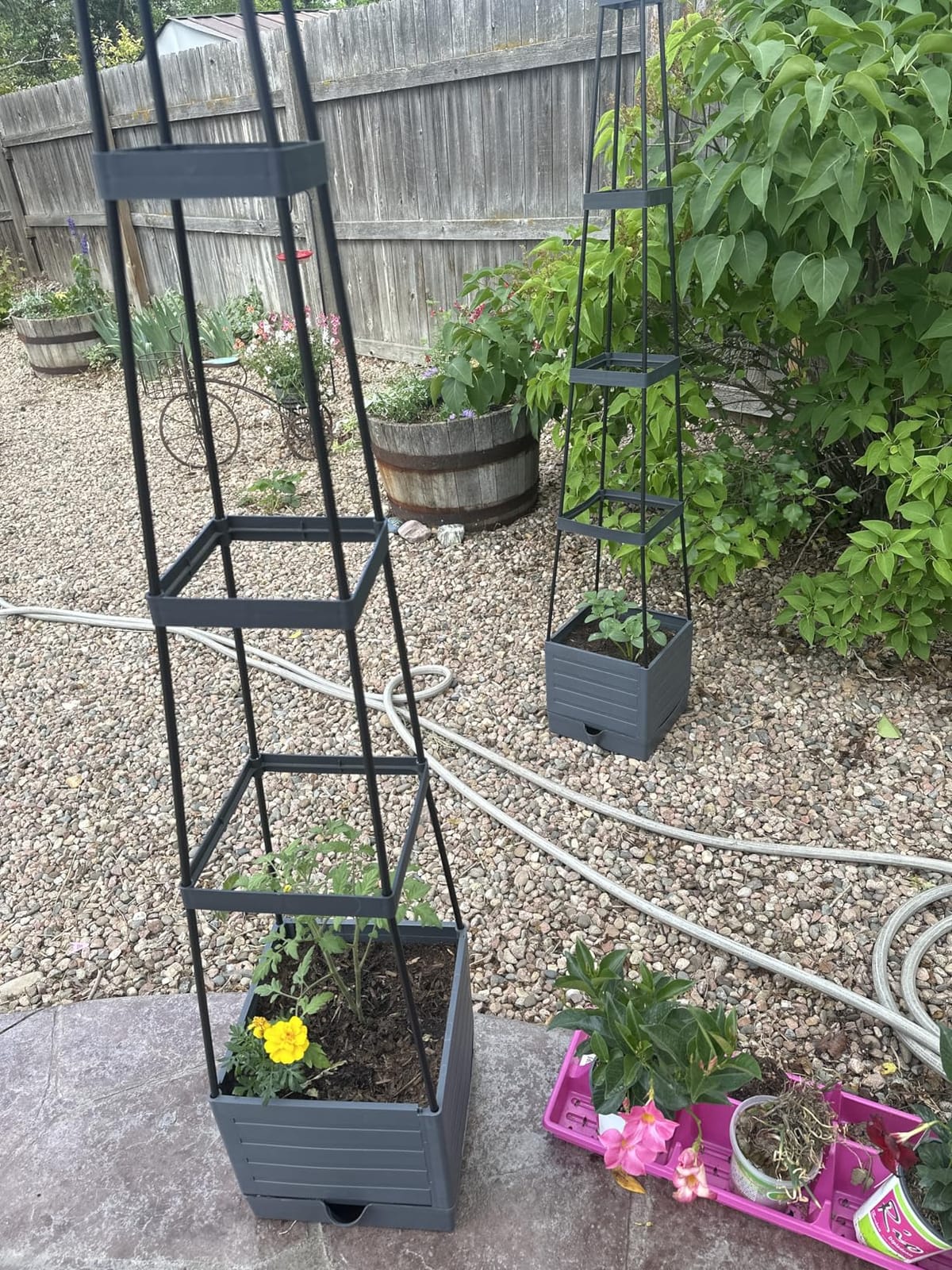 2-Pack Tomato Planter with Trellis, 57