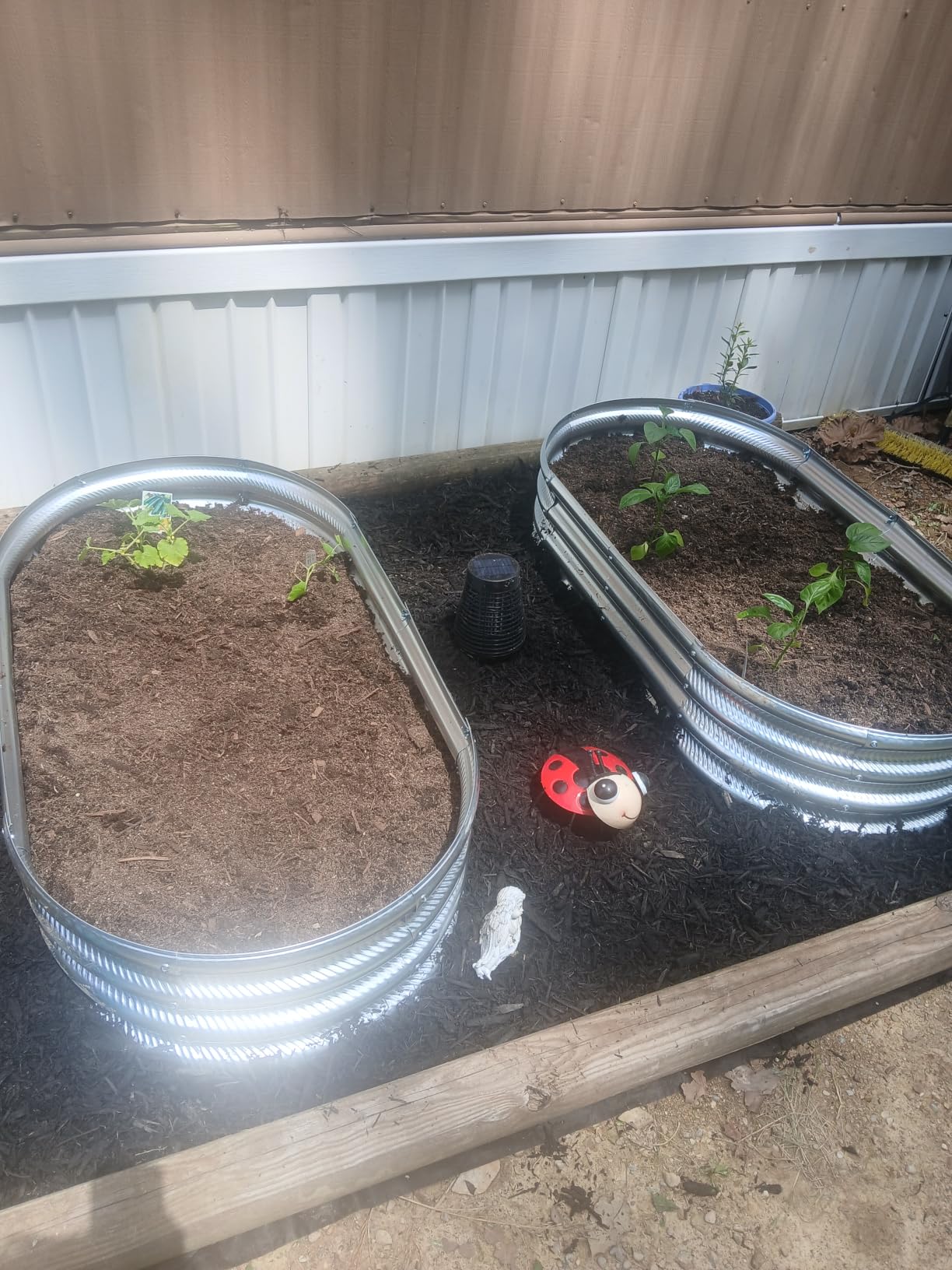 Gartist 2 pcs 4×2×1 ft Raised Garden Bed for Outdoor, Easy Assembly Galvanized Planter Box for Vegetables, Flowers & Herbs customer photo 2