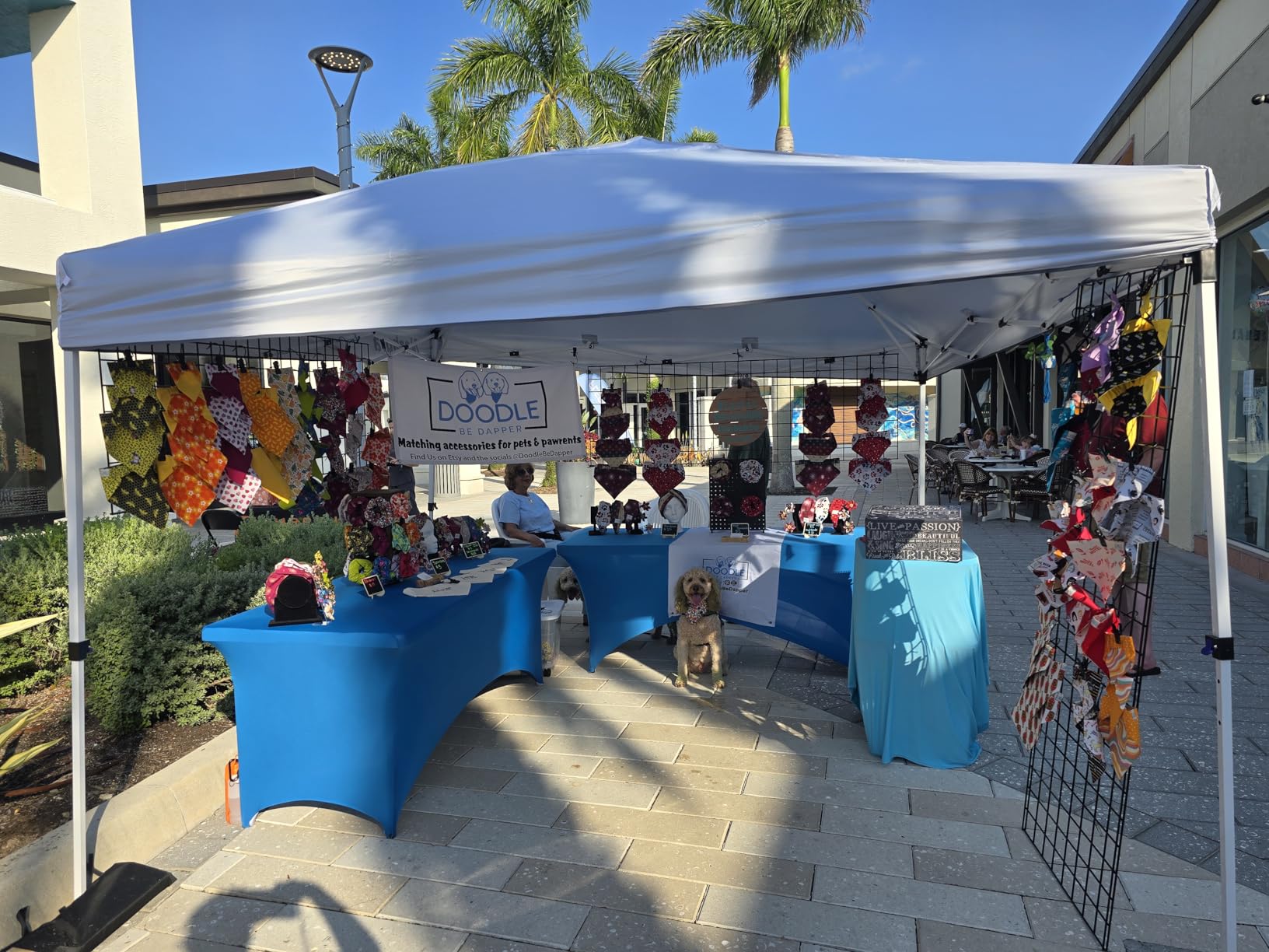 Nazhura 10' x 10' Pop Up Canopy Tent with Sand Weight Bag, Freestanding Sun Shelter for Picnic and Camping, One Person Setup and Height Adjustable (White) customer photo 2
