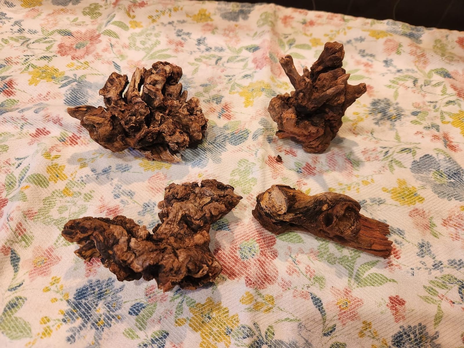 YZHZOM Small Natural Driftwood for Aquarium Styling Carefully Selected Natural Aquarium Decor Driftwood for Reptile Tank Reptile Tank Wood Decor (Driftwood 4-6inch 4pcs) customer photo 1