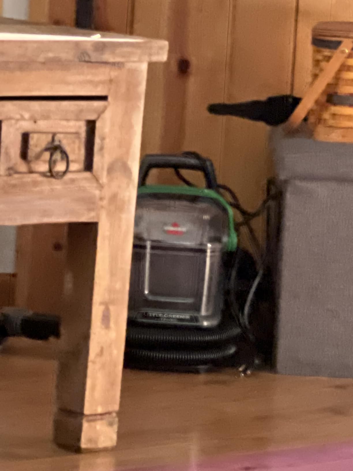 BISSELL Little Green Pet Pro Portable Carpet Cleaner, 3909 customer photo 1