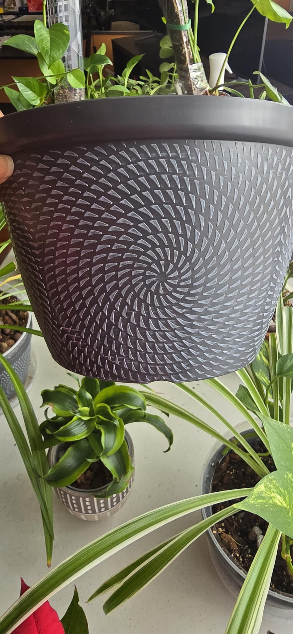 Quarut Large Planter Pot, Plastic Flower Pots with Drainage Hole & Saucer customer photo 1