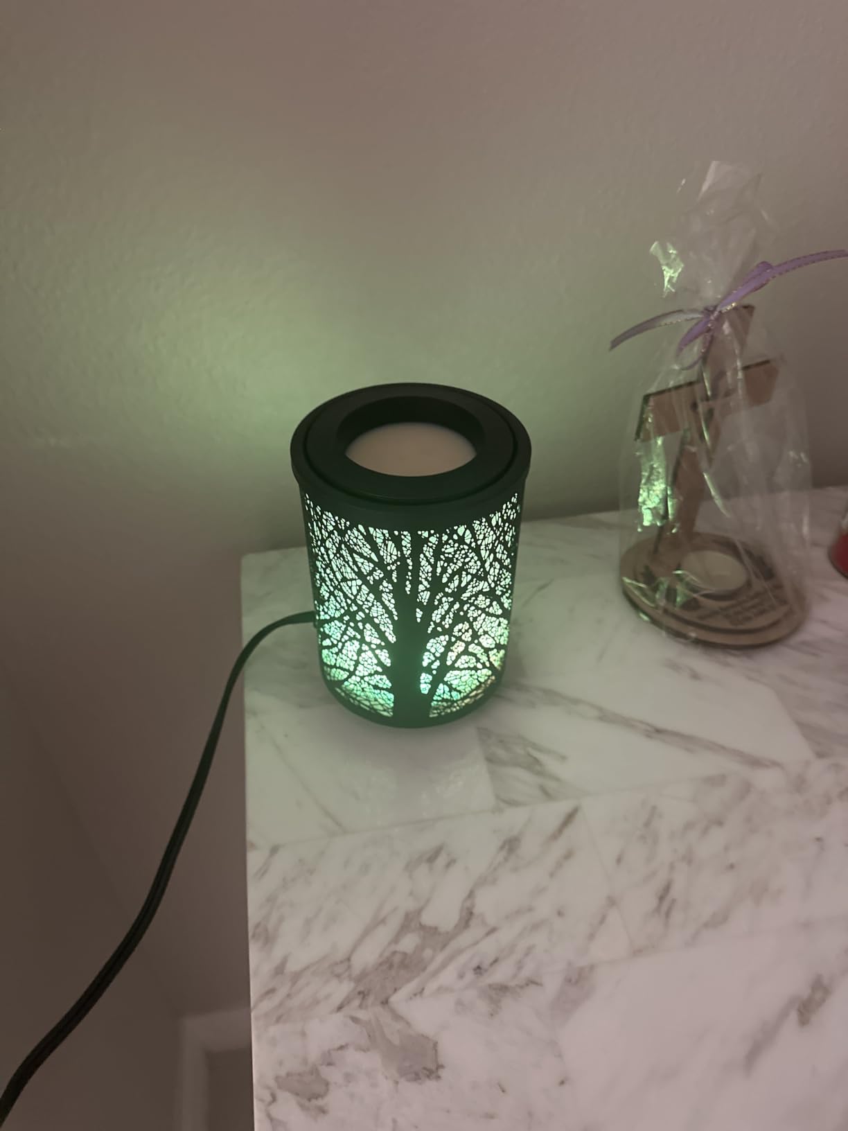 Leyoue Electric Wax Melt Warmer PTC Heating Plate with 7 Colors LED Changing Light customer photo 2