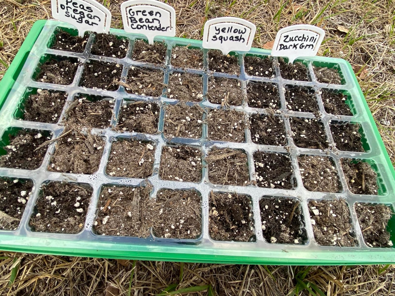 55 Vegetable Seeds Variety Pack - 35,600+ Non-GMO Heirloom Seeds for Planting Vegetables and Fruits in Individual Seed Packets, Home Garden Seeds for Hydroponic, Indoor and Outdoors Gardening customer photo 2