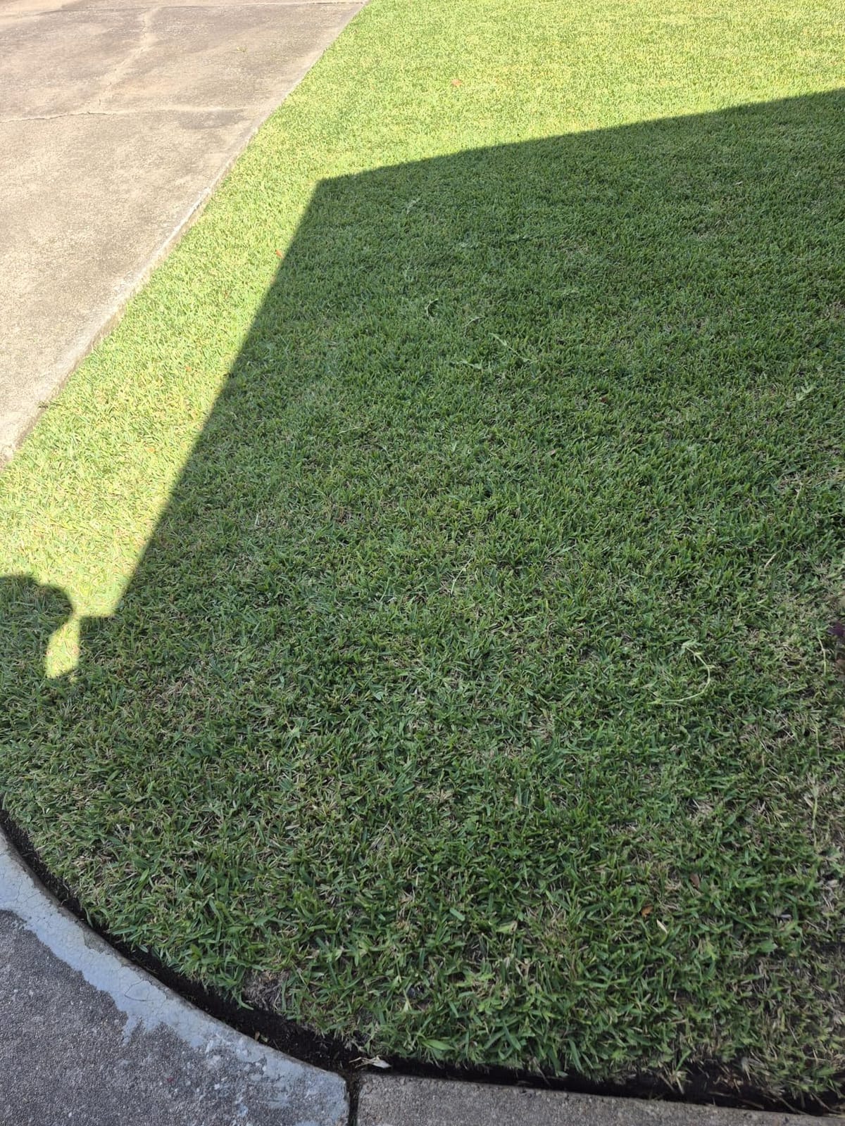 PowerSmart Self Propelled Gas Lawn Mower customer photo 2