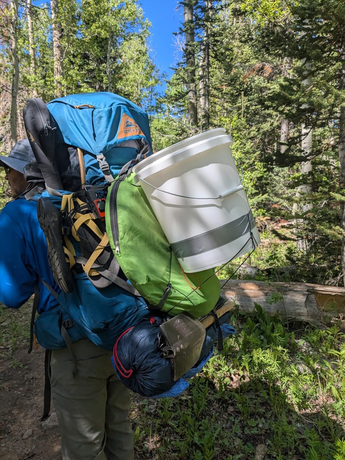 Kelty Coyote 60-105 Liter Internal Frame Backpack - 65L, Black customer photo 2
