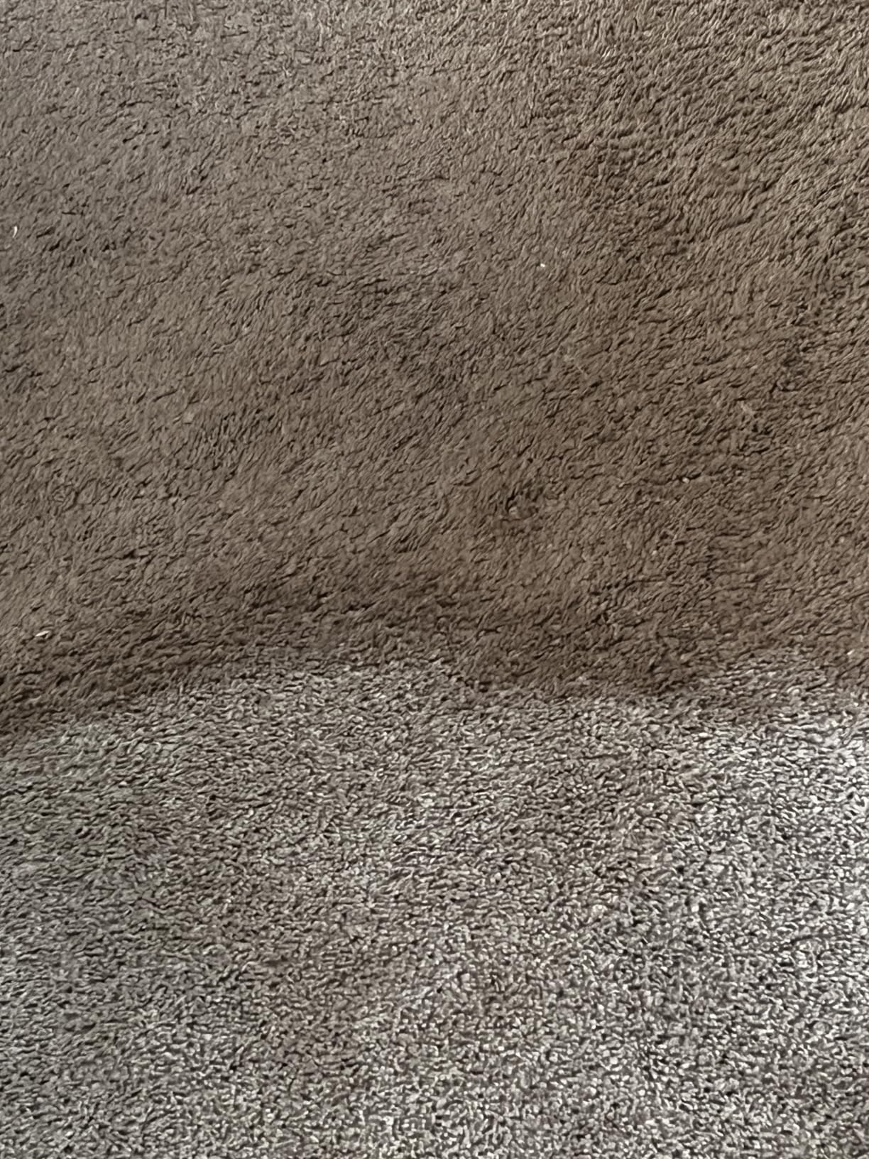 BISSELL Little Green Max Pet SmartMix Carpet Cleaner, 38572 | SmartMix Technology auto-mixes solution; self-cleaning tough stain tool; upholstery & car detailing customer photo 2