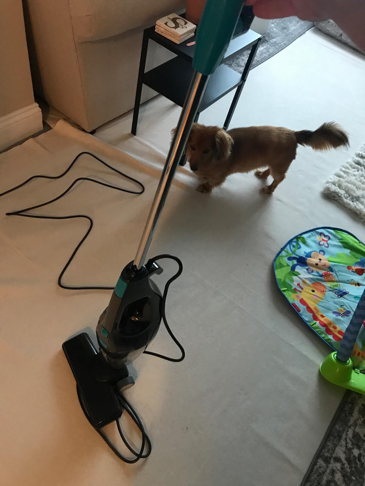 Eureka Blaze Stick Vacuum Cleaner, 3-in-1 Small Vacuum for Home, Blue customer photo 1