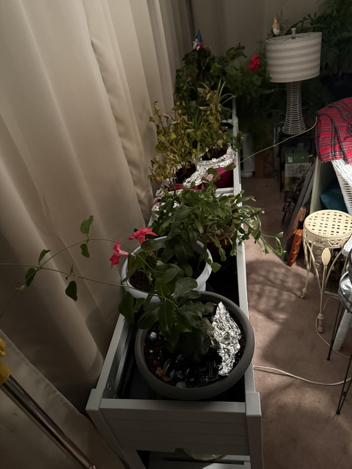 Elevated Raised Garden Bed with Wheels,Outdoor Large Resin Patio Planter Box Stand Divisible with Drain Plug,Water Monitor for Plants Vegetables Flowers Fruits(Ashen) customer photo 1