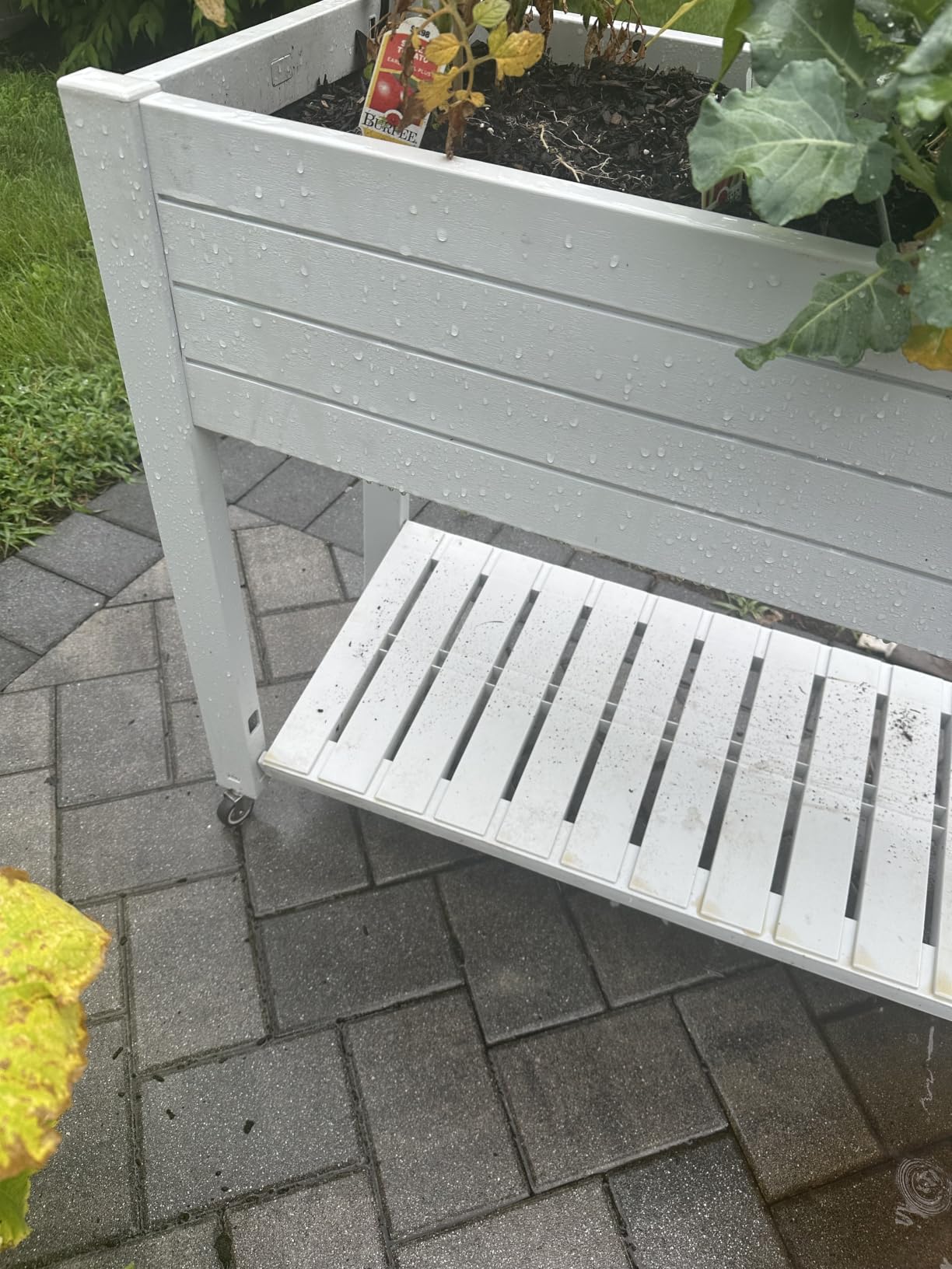 Elevated Raised Garden Bed with Wheels,Outdoor Large Resin Patio Planter Box Stand Divisible with Drain Plug,Water Monitor for Plants Vegetables Flowers Fruits(Ashen) customer photo 2