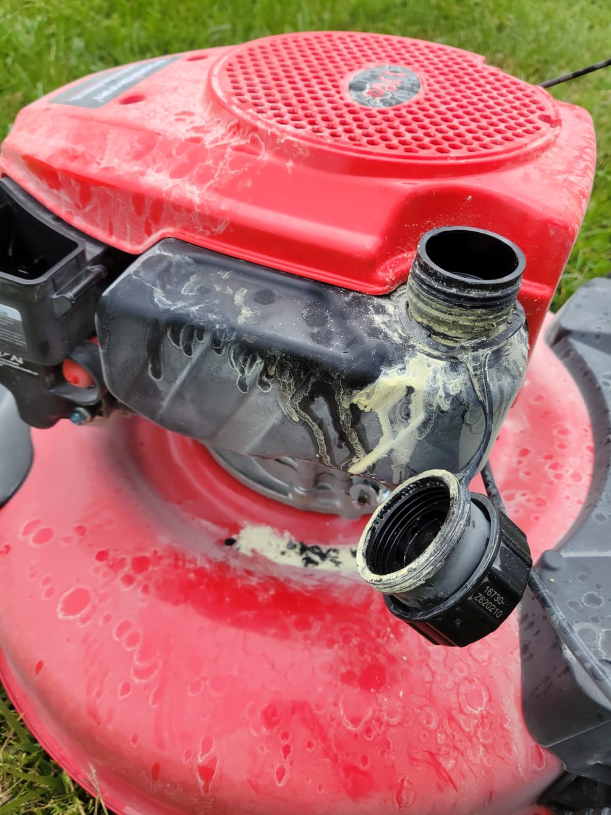 14 Inch Small Corded Lawn Mower with 12.5-Amp Motor, Ergonomic Handle customer photo 2
