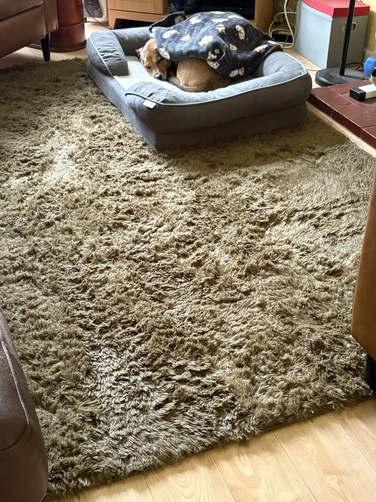 OLANLY Area Rugs for Living Room Bedroom, Machine Washable 4x5.9 ft Soft Fluffy Shaggy Bedside Rug, Indoor Floor Carpet for Kids Girls and Boys, Dorms, Nursery Rooms, Home Decor Aesthetic, Grey customer photo 1