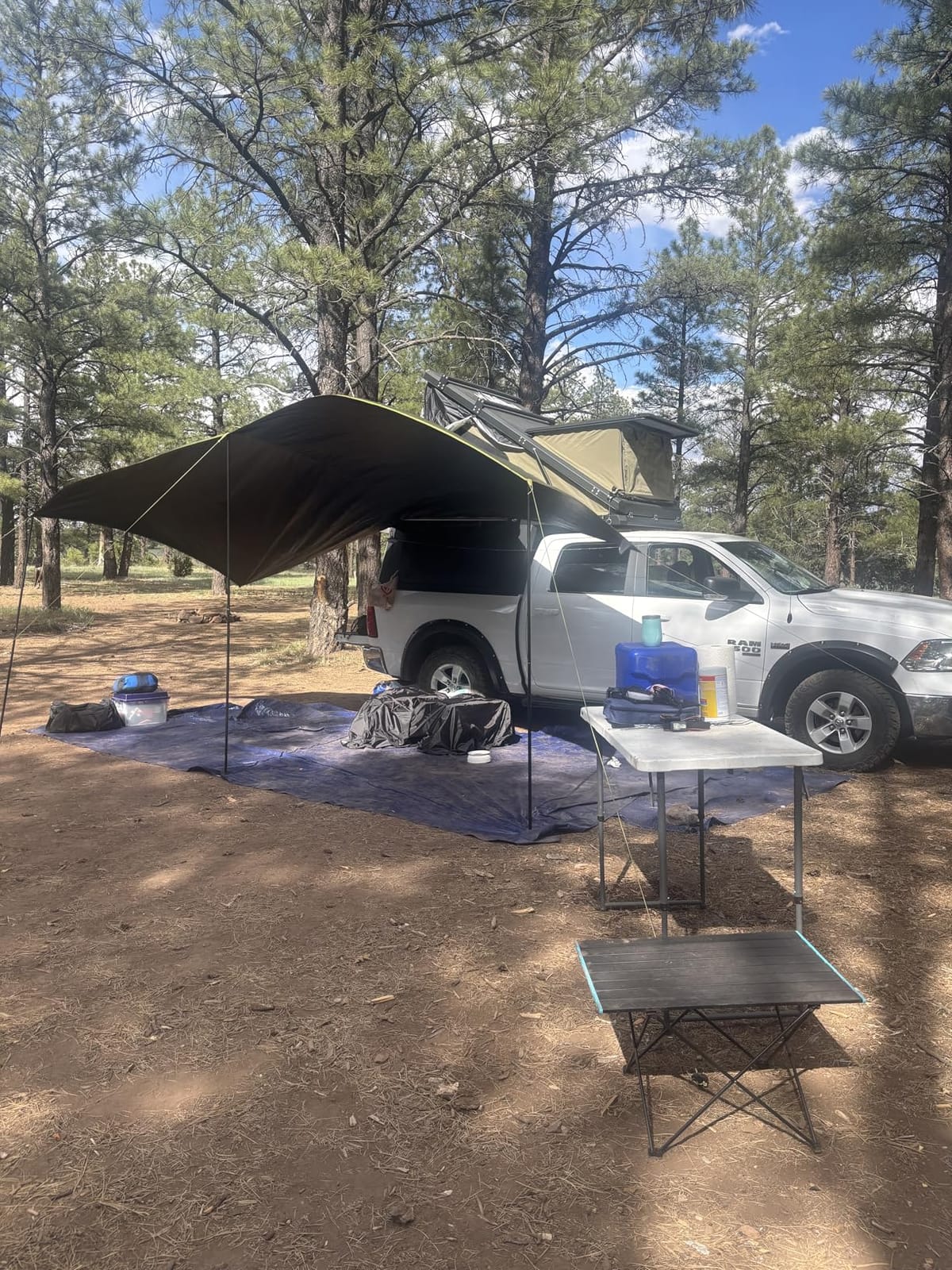 TIMBER RIDGE Blackout Coating Car Awning, 19x9.8ft, Green | Retractable Roof Rack, Pull-Out Sun Shade Overland Camping, Waterproof Sun Shelter, For Vehicle/Truck/Jeep/SUV/Van customer photo 1