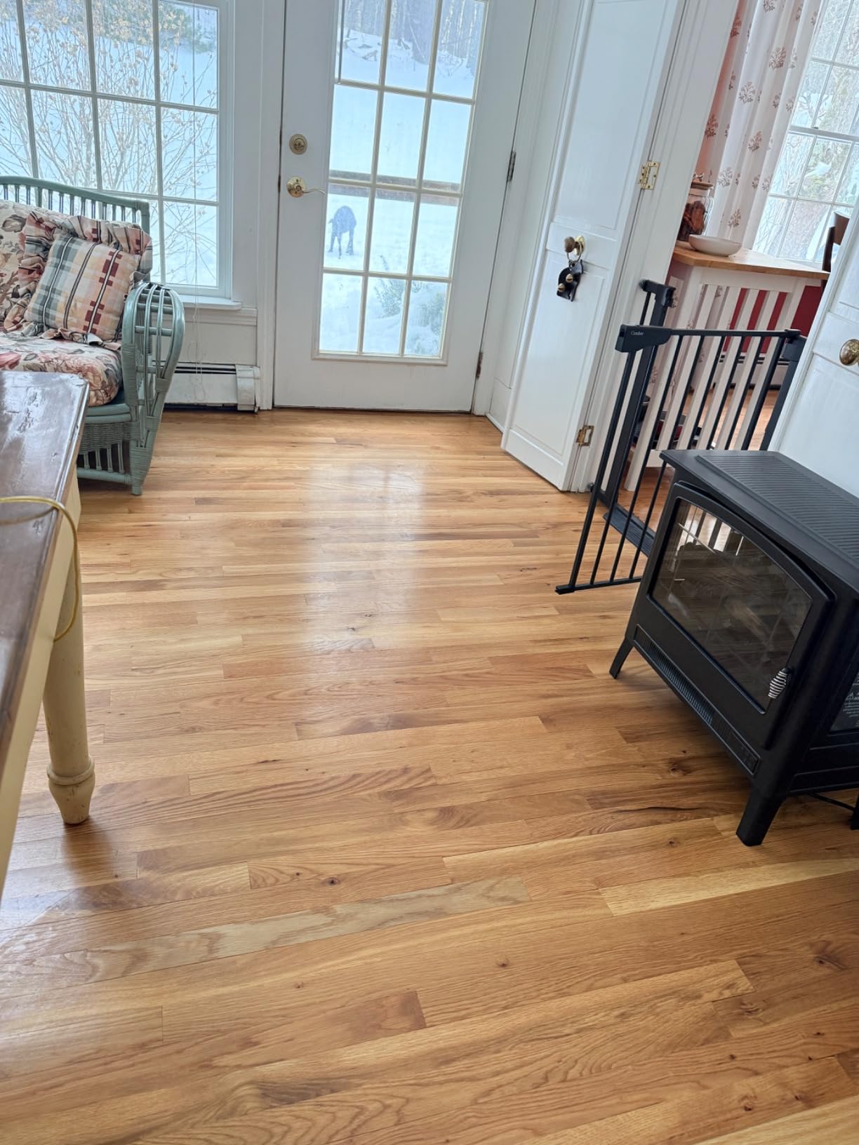 Shark Steam Pickup 3-in-1 Steam Mop for Sealed Hard Floors, SD201 | Picks Up Debris, Deep Scrubs & Steam Sanitizes All At Once, Lightweight Steam Cleaner customer photo 1