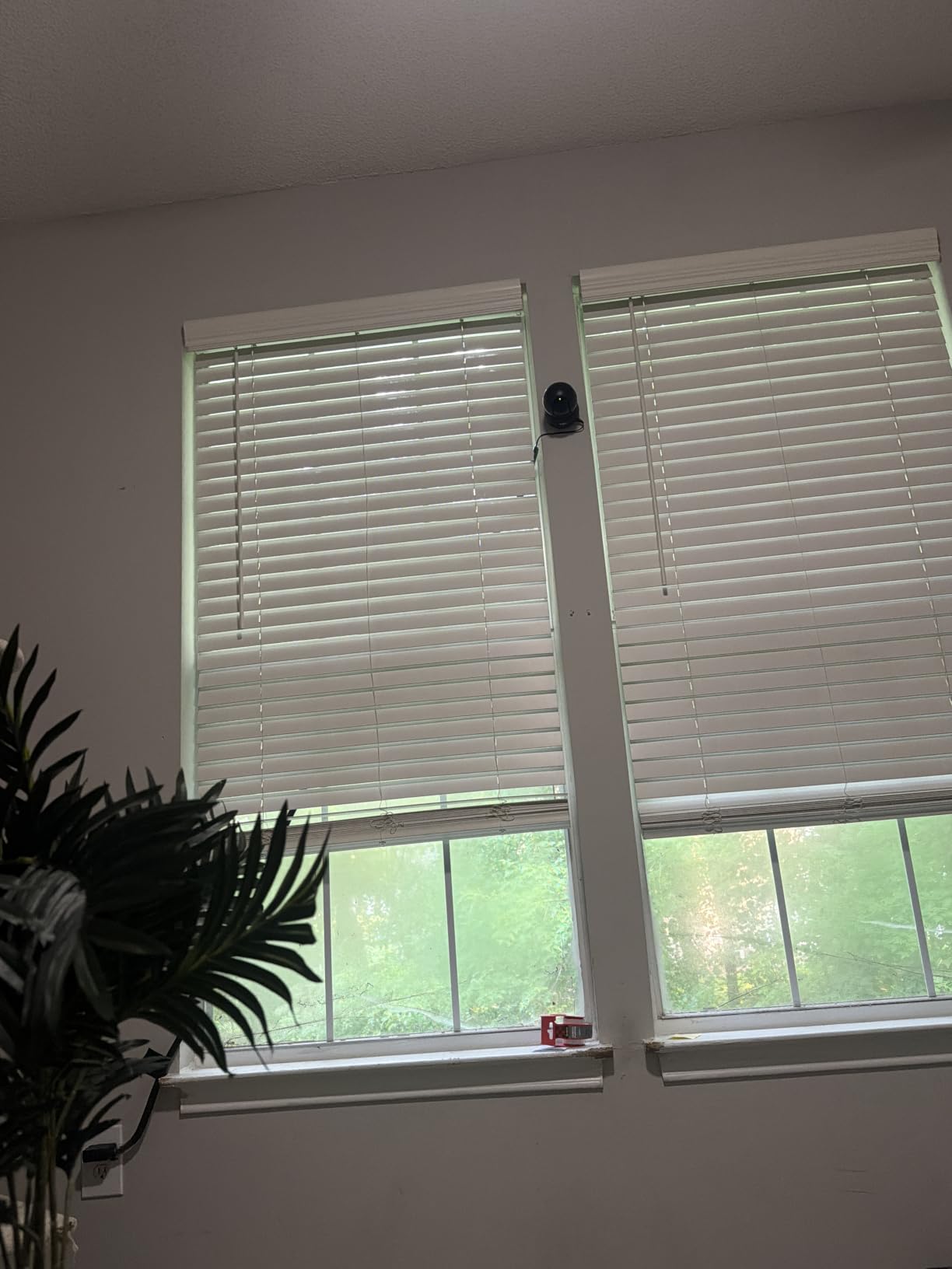 Tapo 1080p Pan/Tilt Security Camera for Baby Monitor, Pet Camera, C201 customer photo 1