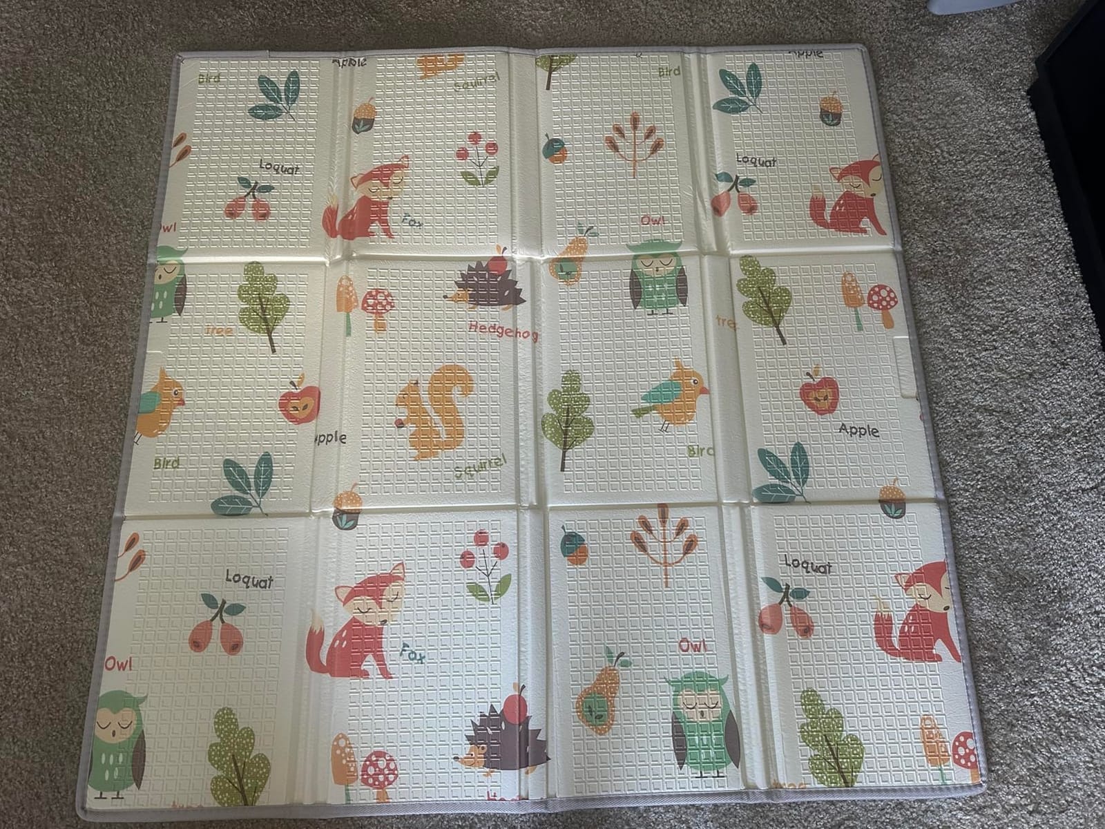 XVISHX Baby Play Mat, 50 x 50 Inch Play Mat Perfect for Use Baby Playpen, Foldable Baby Foam Playmat for Floor, Portable Waterproof Activity PlayMats for Babies, Infants and Toddlers customer photo 1