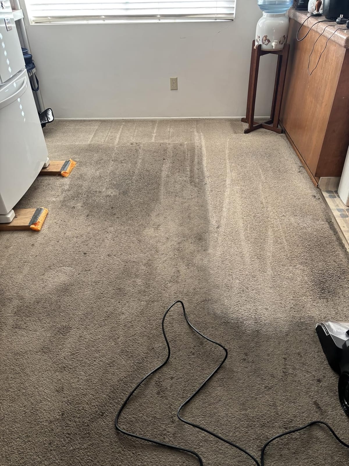 Rug Doctor by BISSELL Max Advanced Commercial Carpet Cleaner Solution 48 oz customer photo 1