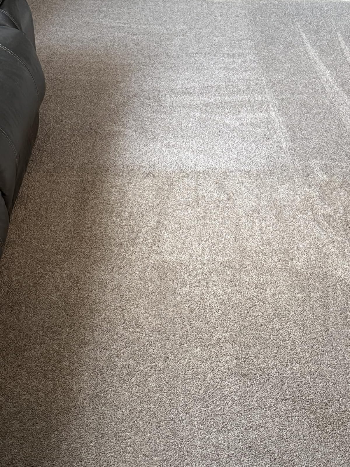 BISSELL TurboClean Upright Carpet Cleaner, OXY Formula, 3952 customer photo 1