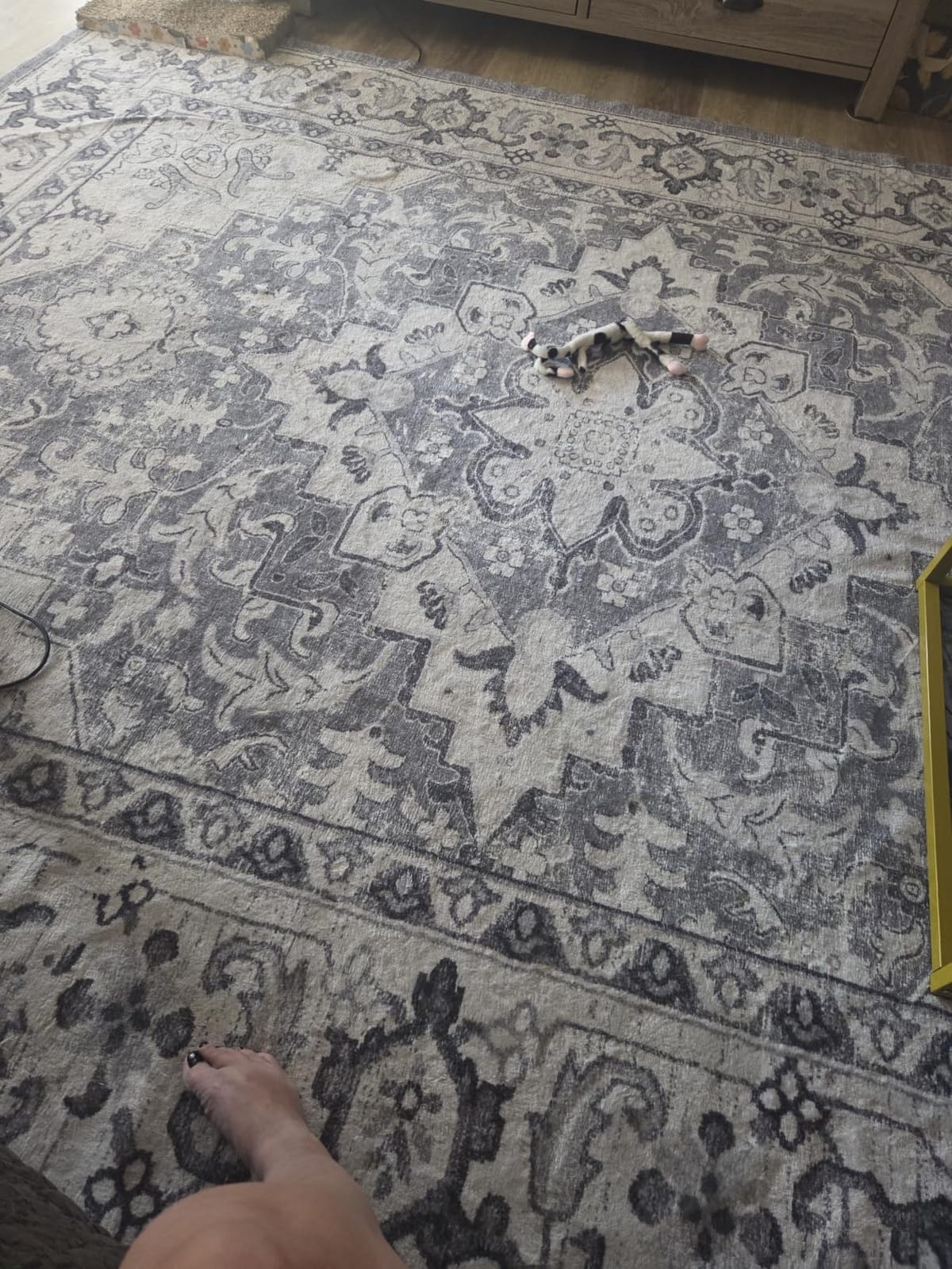 Lessymo 8 x 10 Area Rugs for Living Room, Machine Washable Rug Grey White | Soft Faux Wool; Boho Floral Medallion Vintage Carpets; Low Pile for Bedroom Dining Room; Non-Slip Backing; Kids Pet Friendly customer photo 1