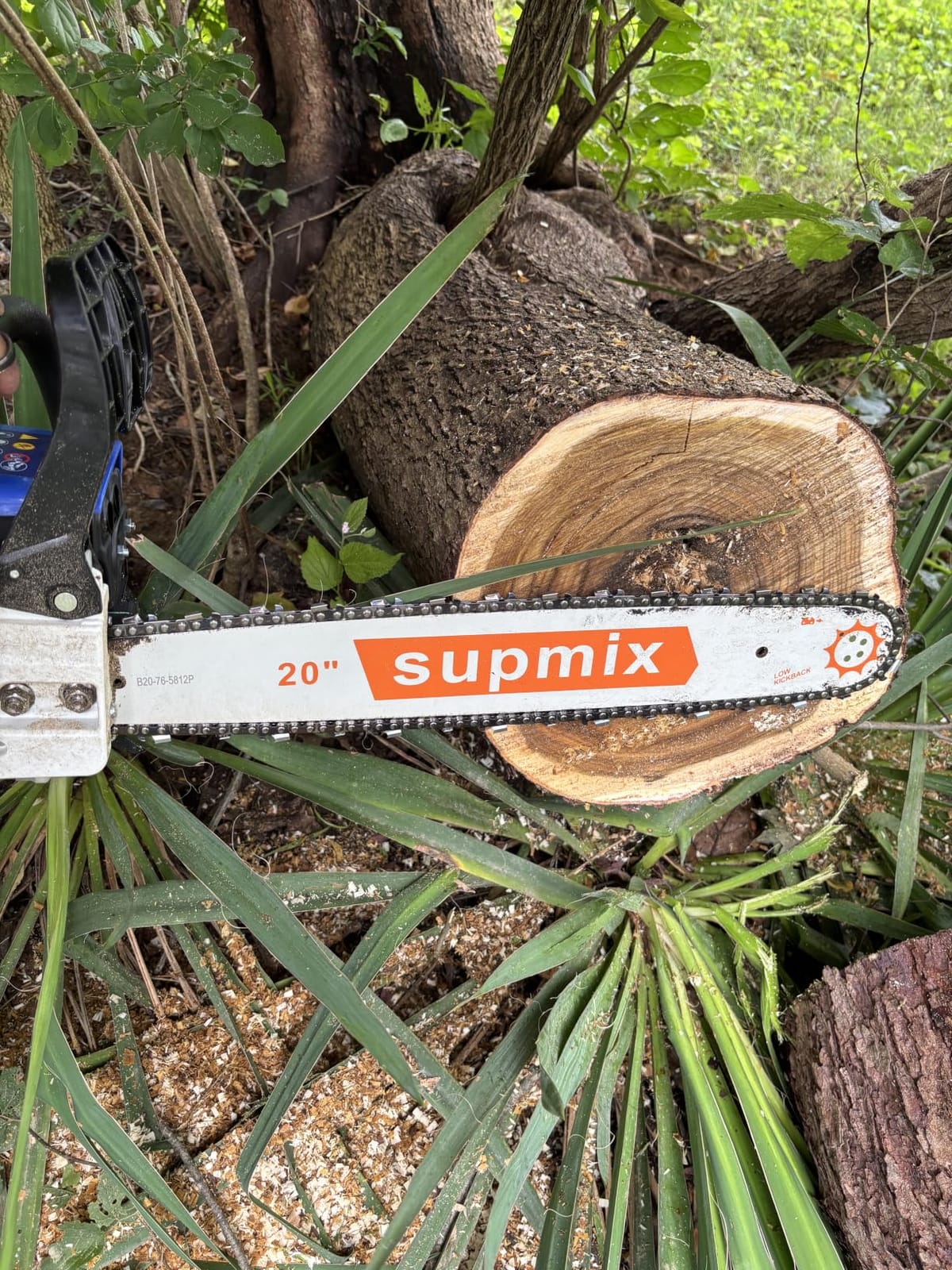 SUPMIXTOOLS 62cc Gas Chainsaw 20 Inch Gas Powered Chainsaws 2-Cycle Petrol customer photo 1