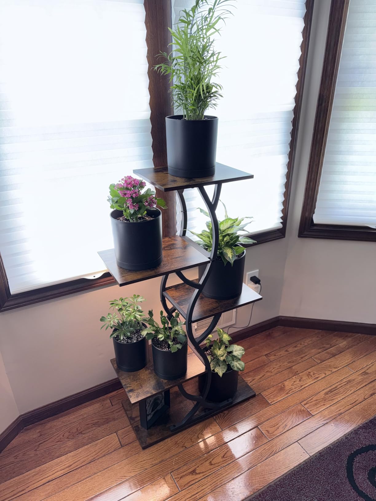 Plant Stand Indoor with Grow Lights - 5 Tiered Corner Plant Shelves (Brown) customer photo 1
